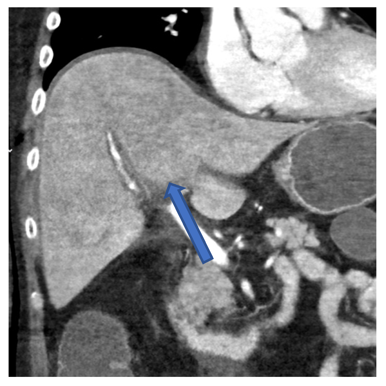 Viruses 14 01459 g003