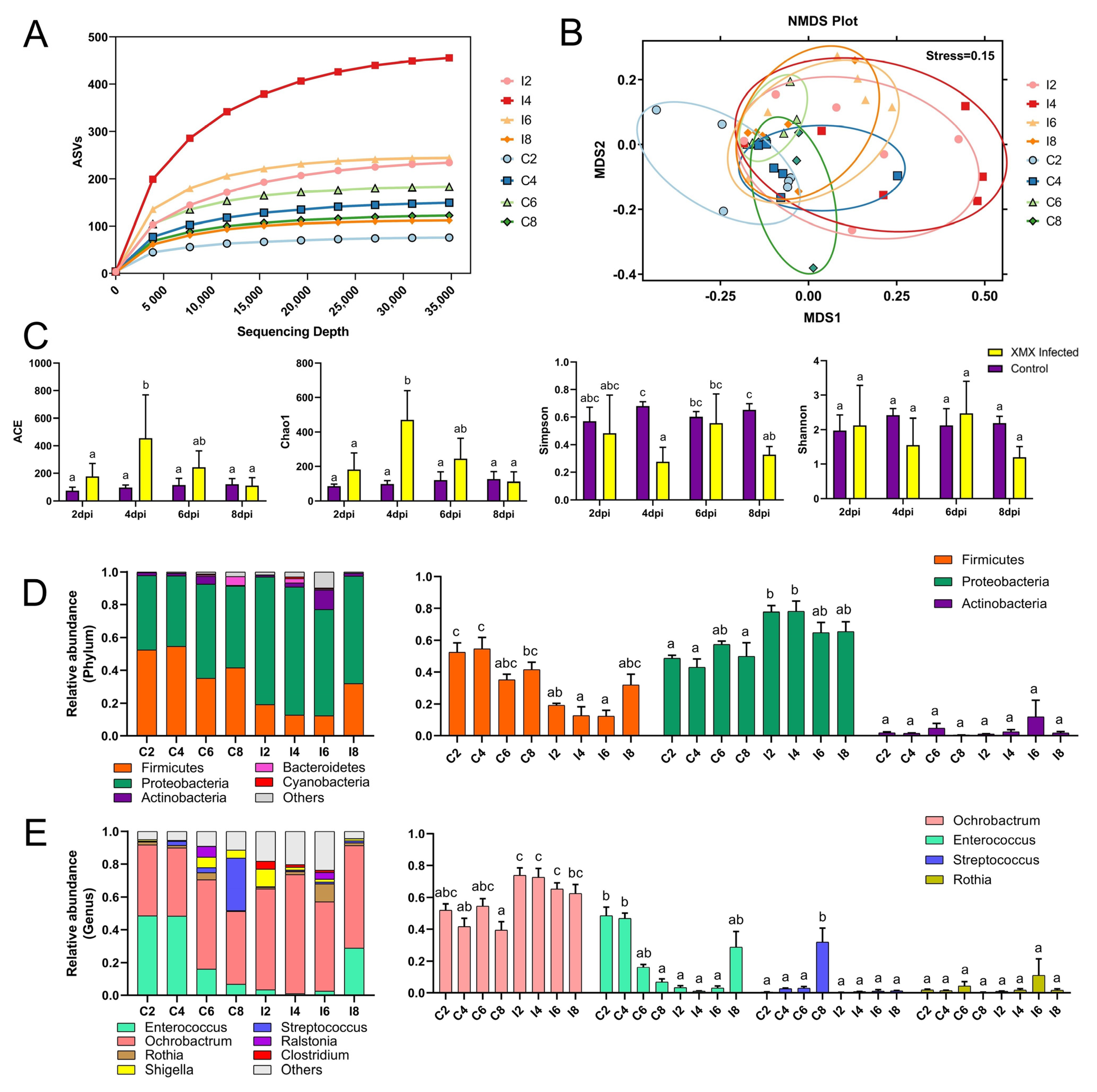Viruses 14 01471 g003