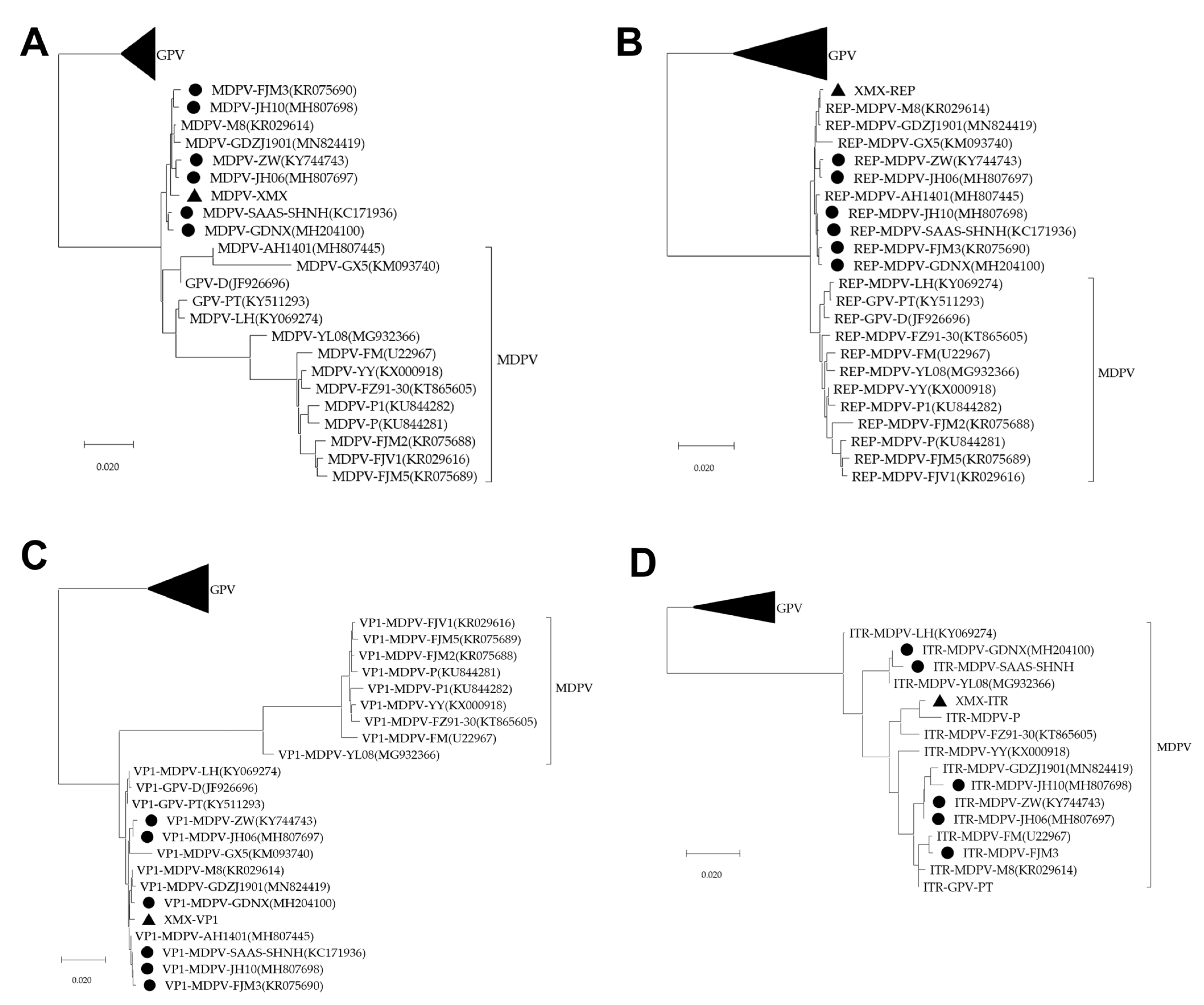 Viruses 14 01471 g005