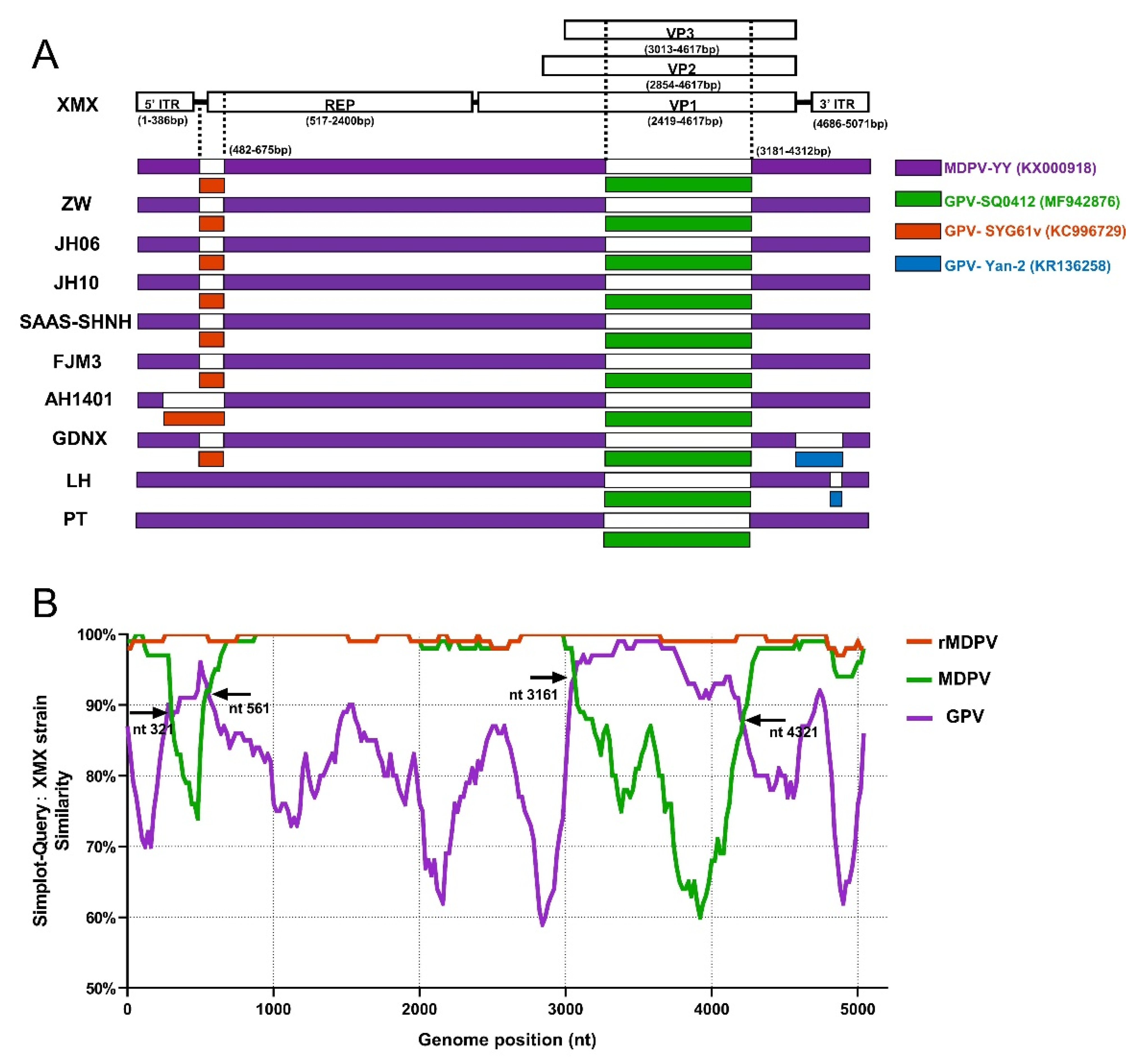 Viruses 14 01471 g007