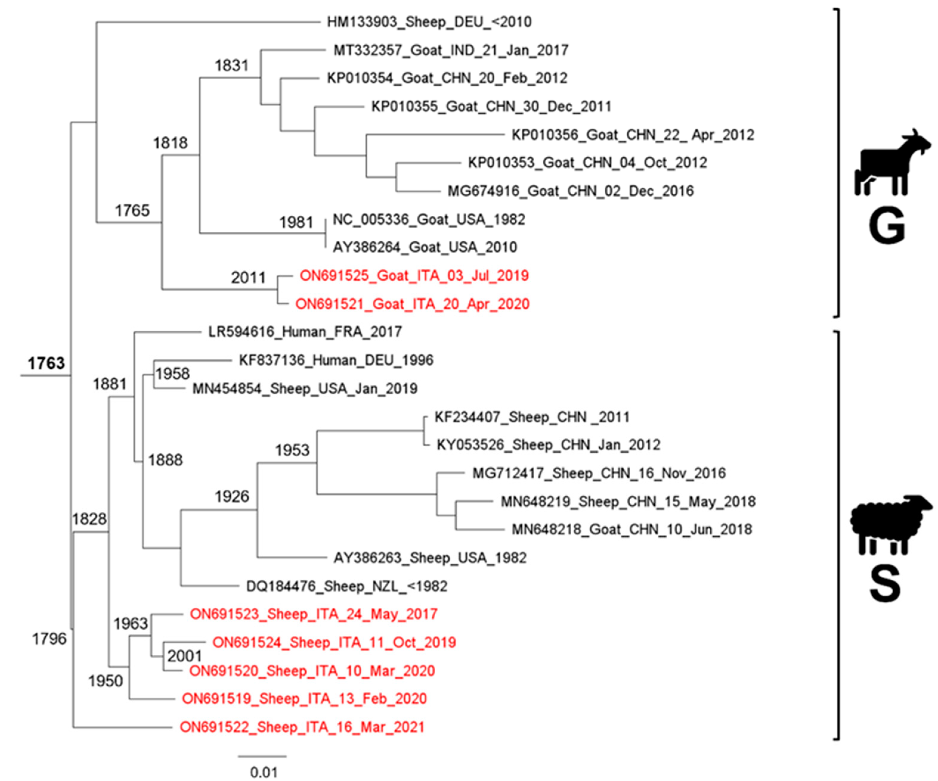Viruses 14 01473 g001