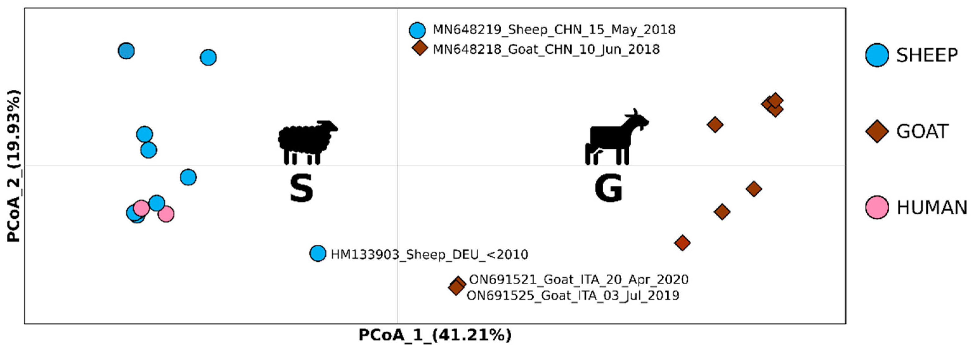Viruses 14 01473 g002