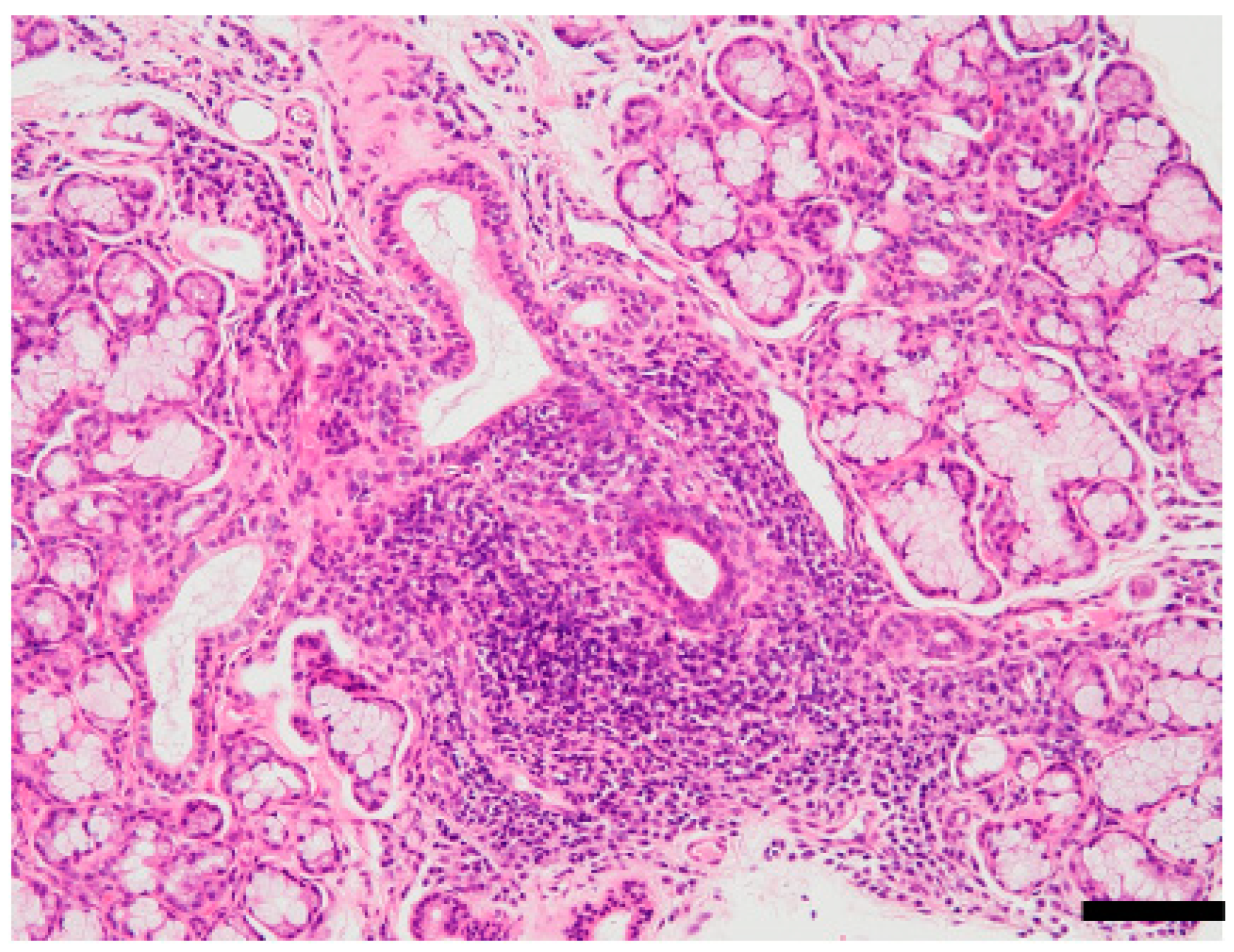 Viruses 14 01474 g001 Viruses 14 01474 g001