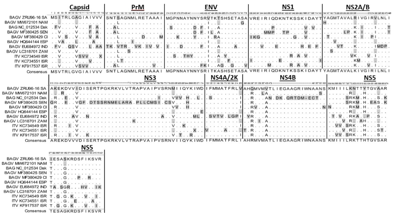 Viruses 14 01476 g001