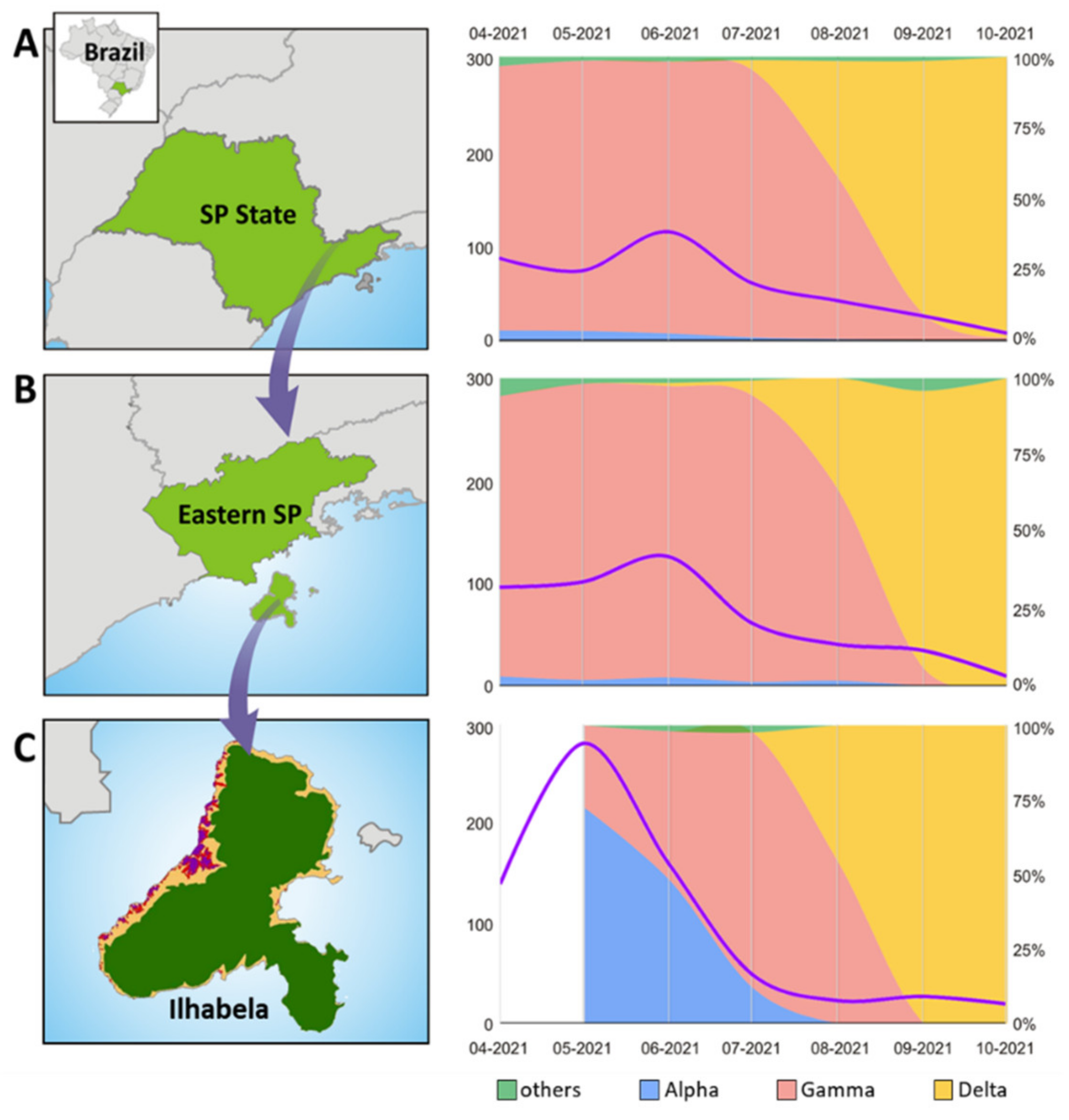 Viruses 14 01481 g001