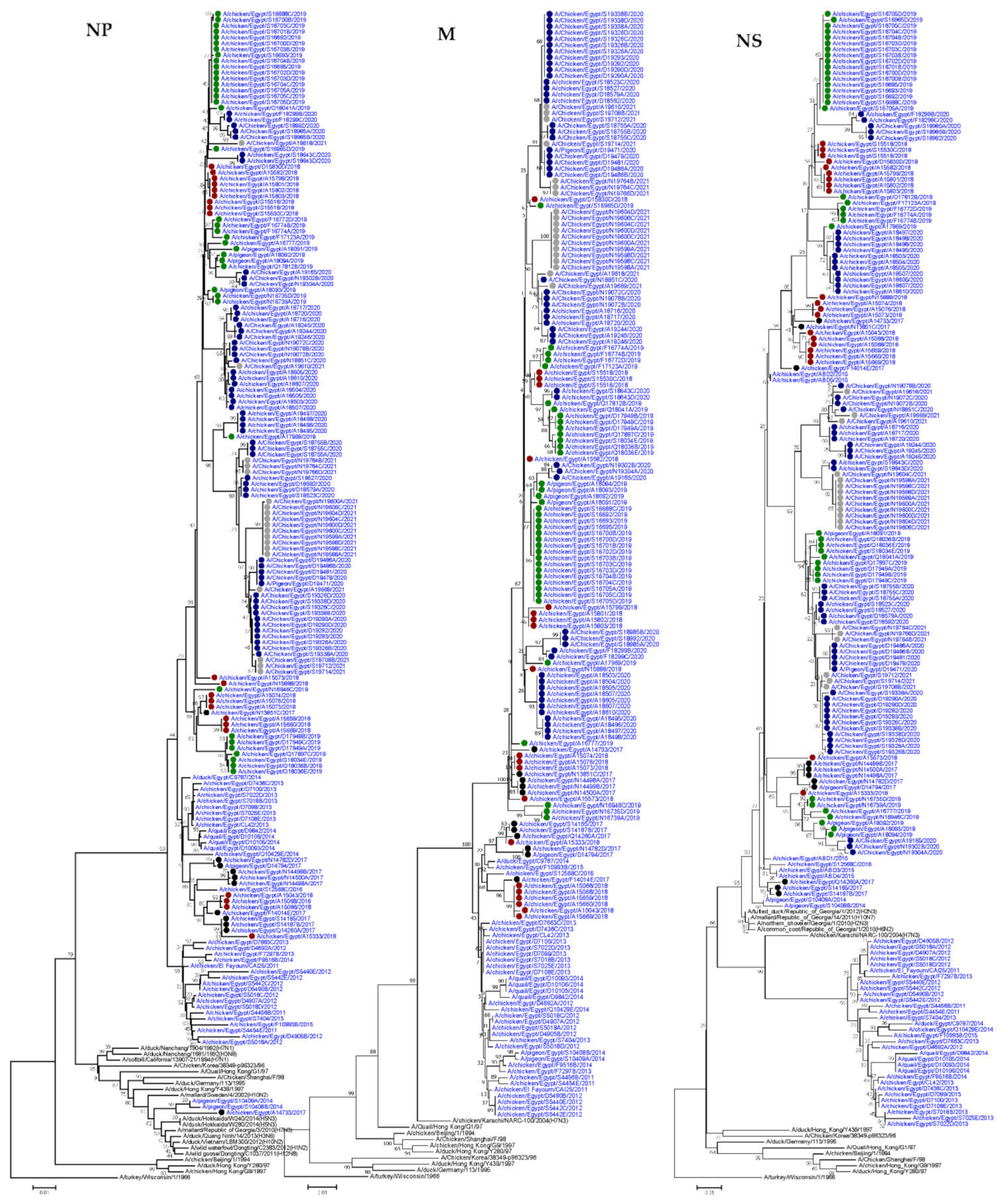 Viruses 14 01484 g001b