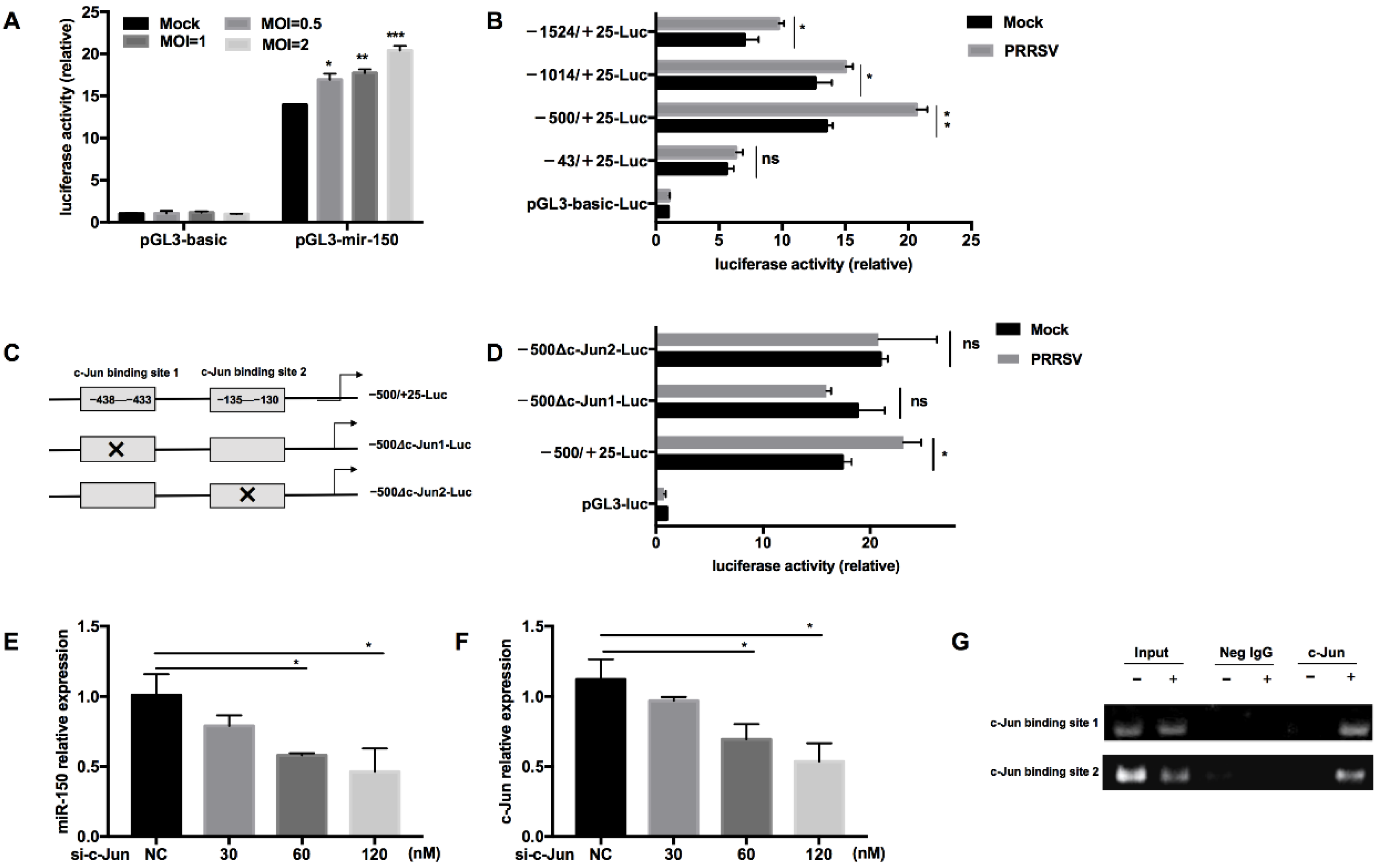 Viruses 14 01485 g003