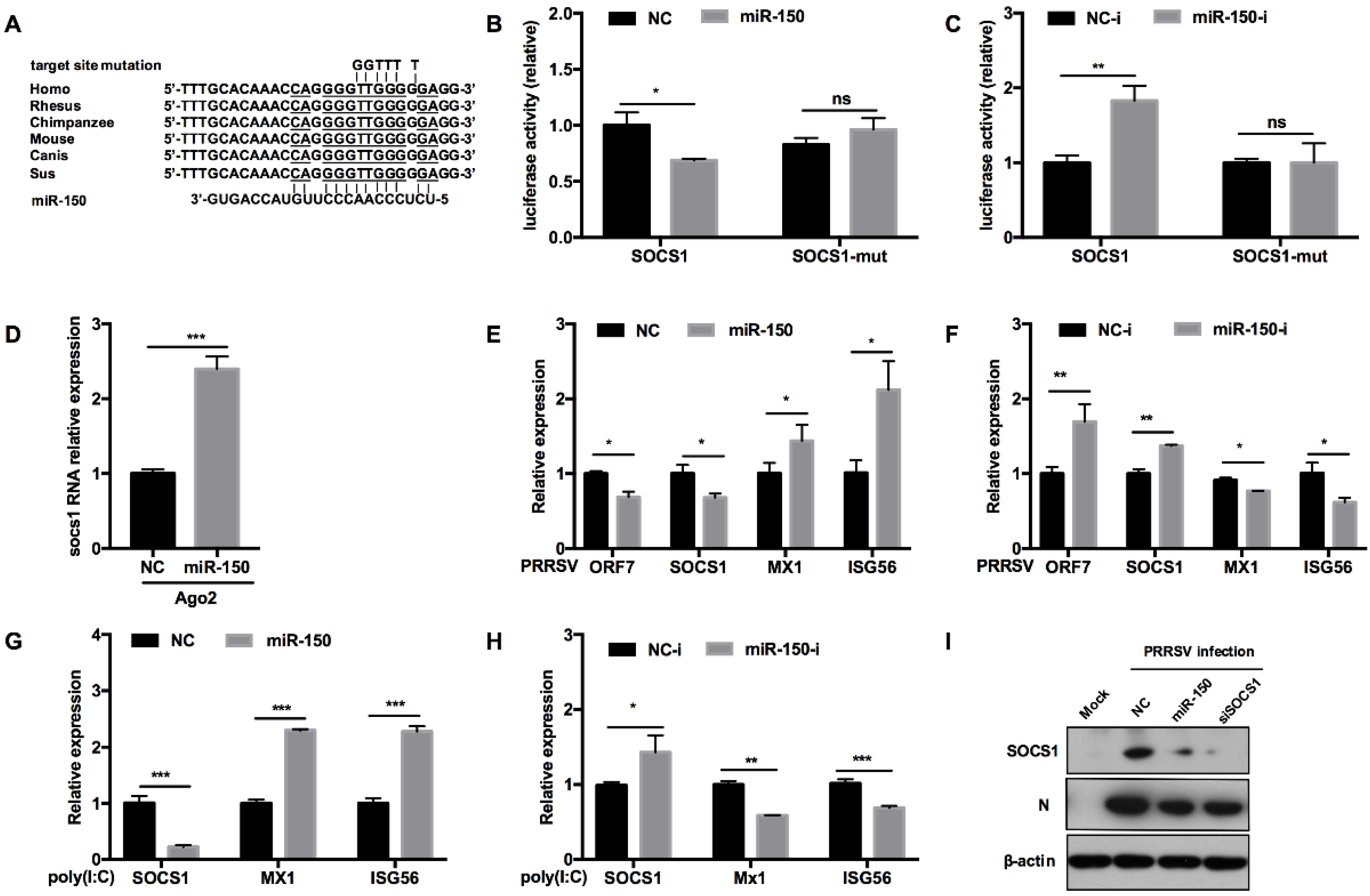 Viruses 14 01485 g006