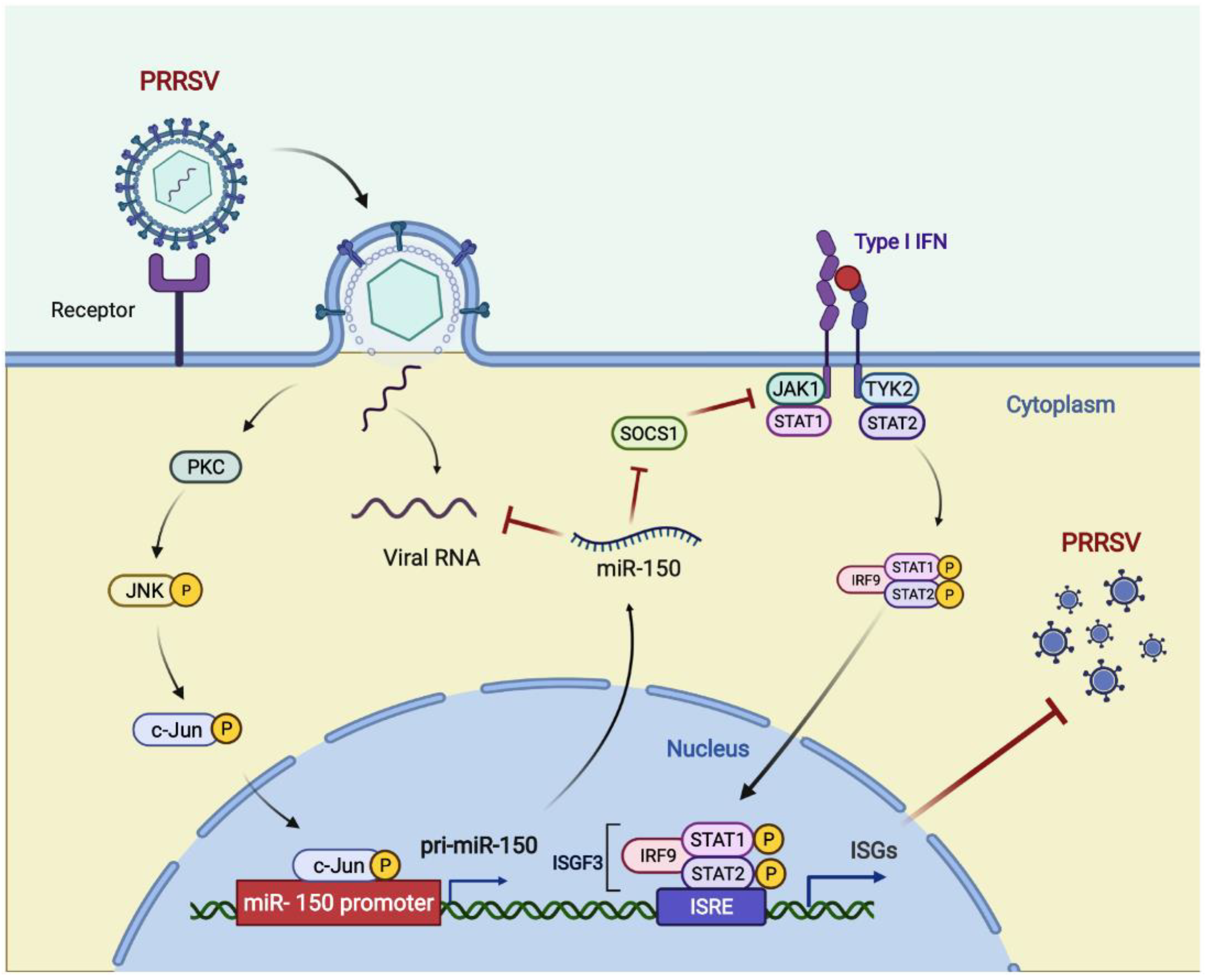 Viruses 14 01485 g008