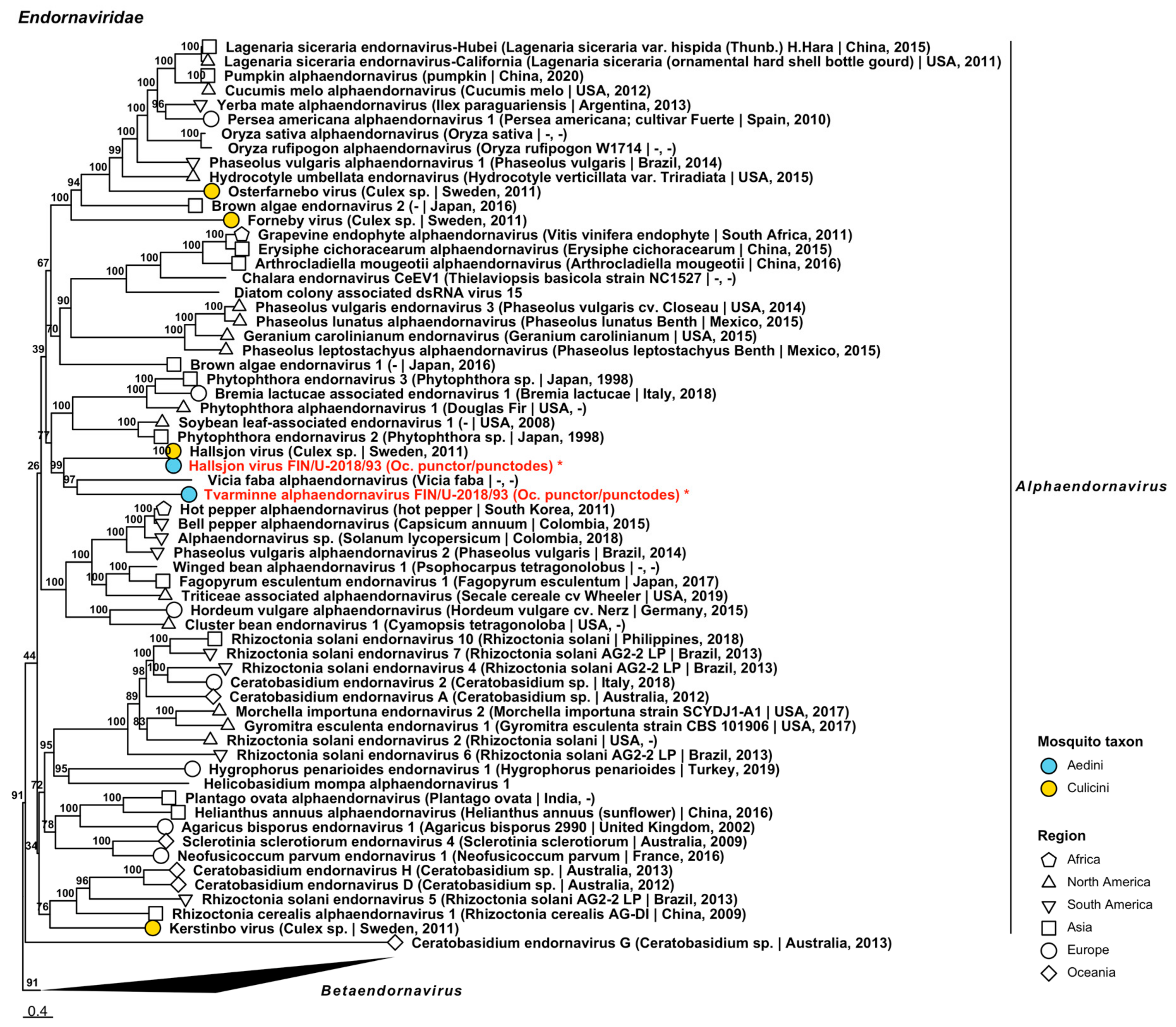 Viruses 14 01489 g002