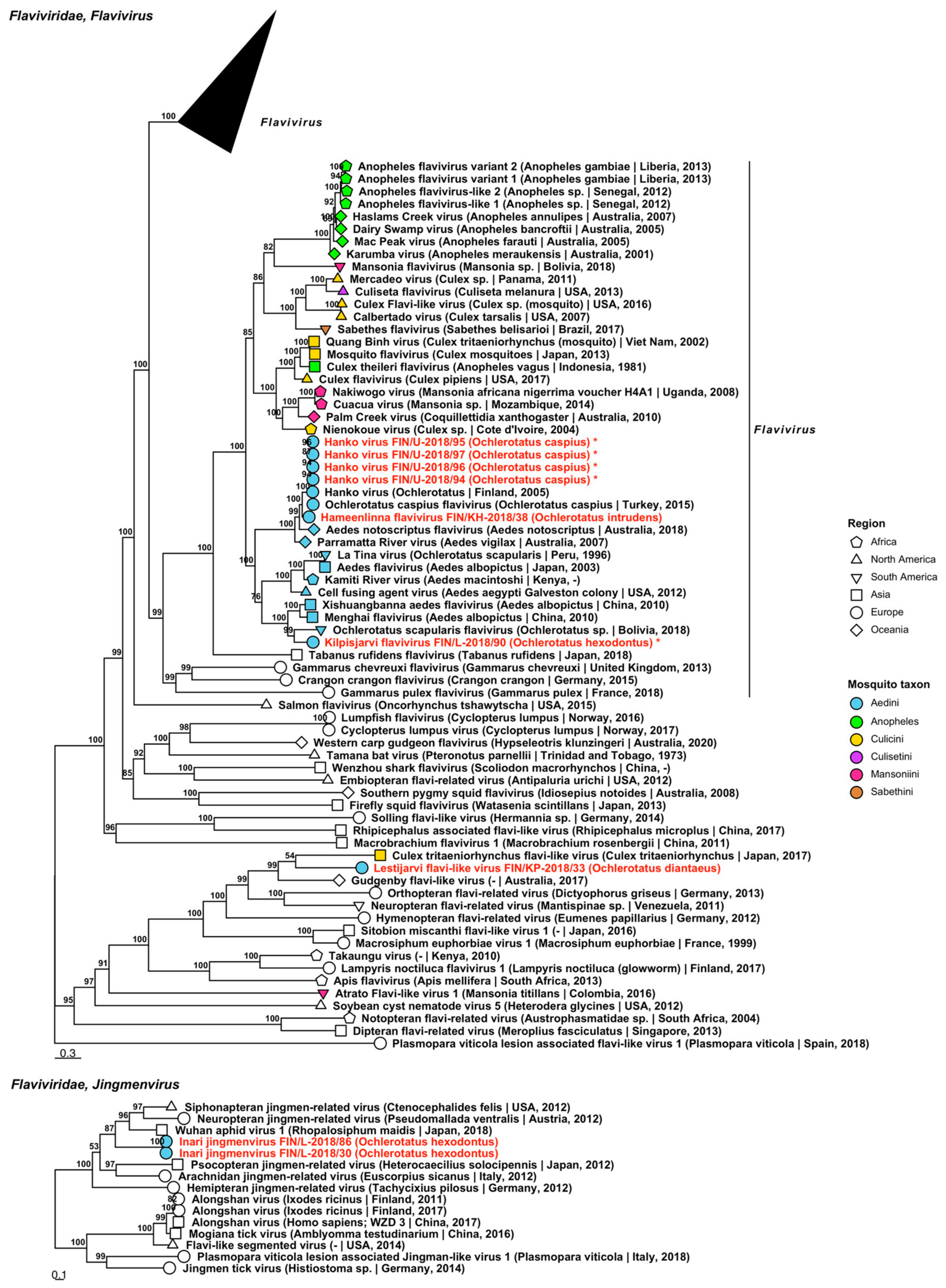Viruses 14 01489 g003