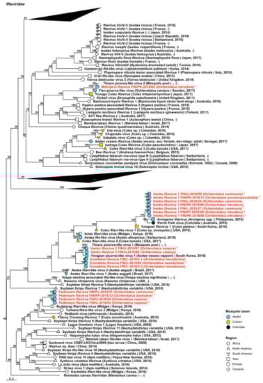 Viruses 14 01489 g004 Viruses 14 01489 g004