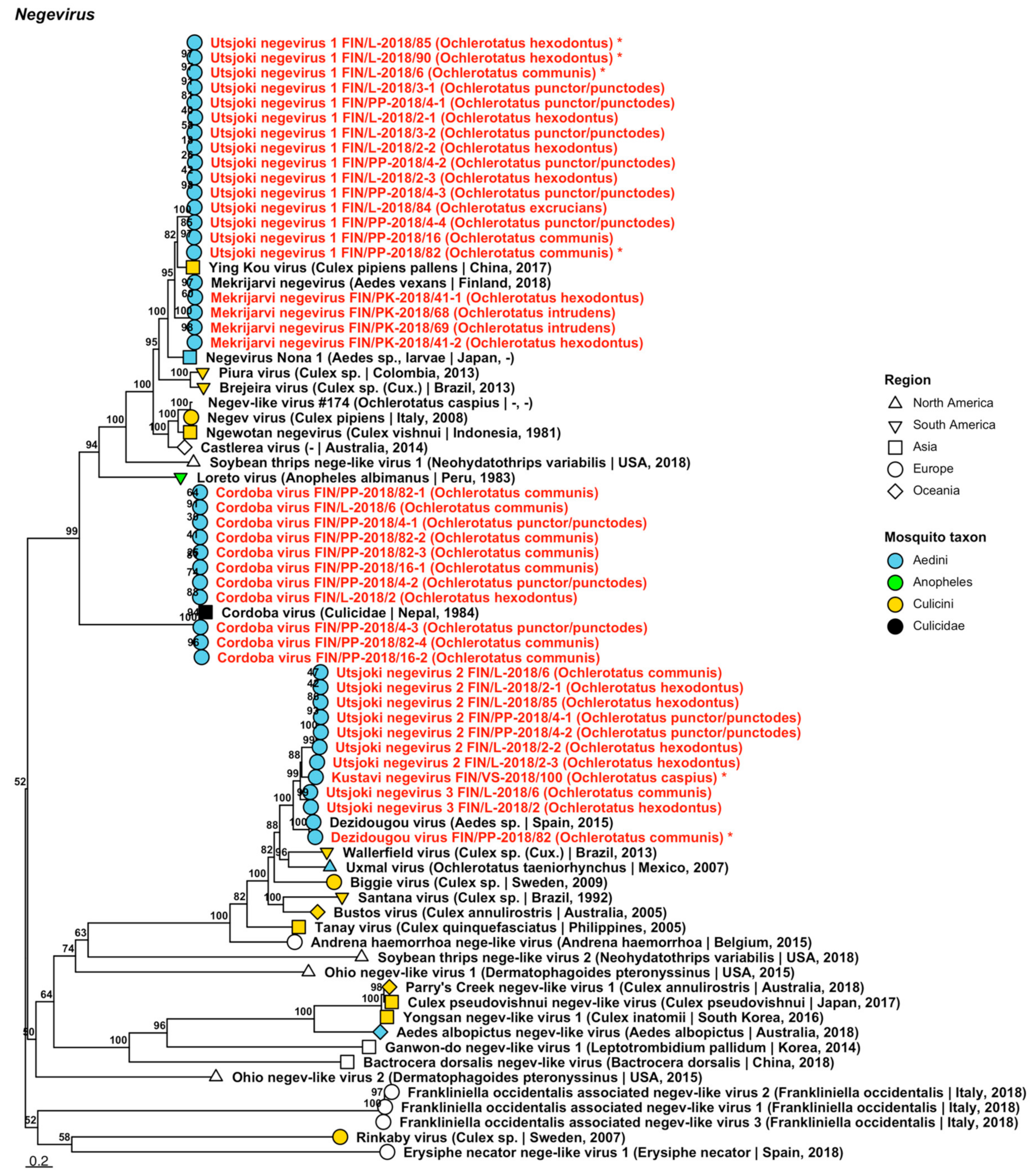 Viruses 14 01489 g005