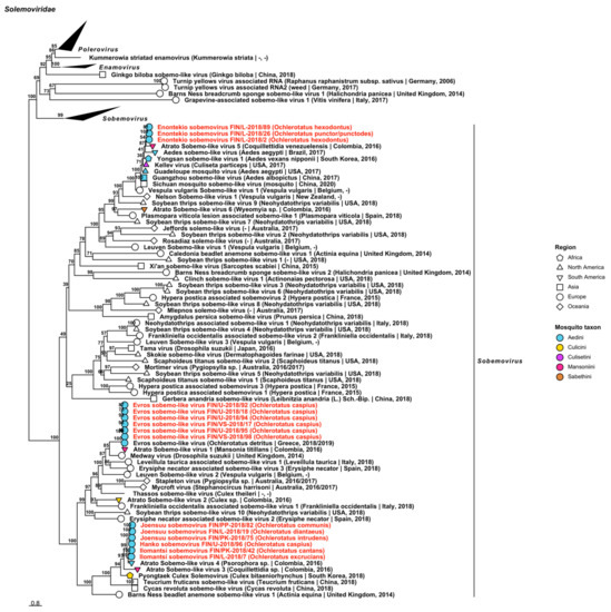 Viruses 14 01489 g007 Viruses 14 01489 g007