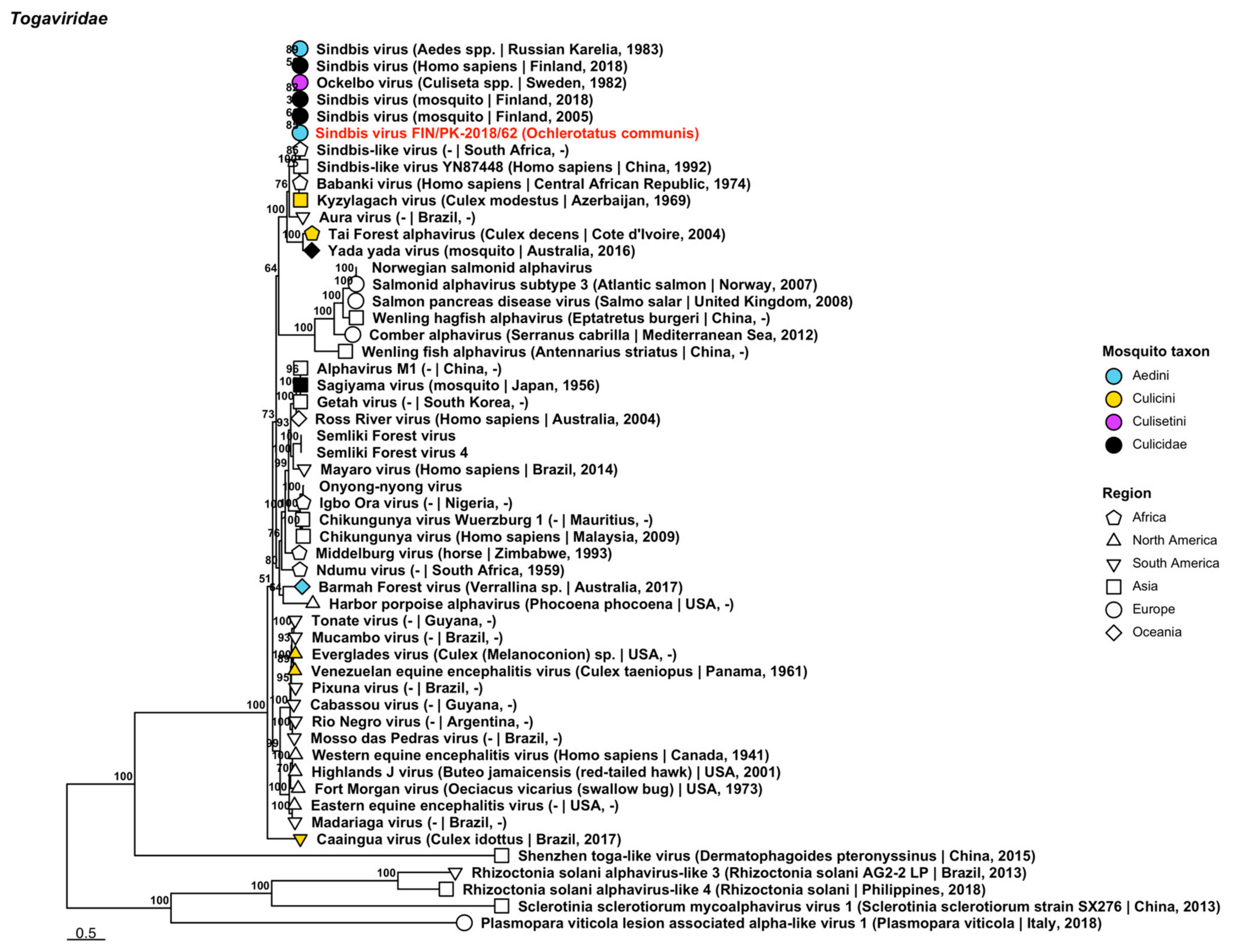 Viruses 14 01489 g008