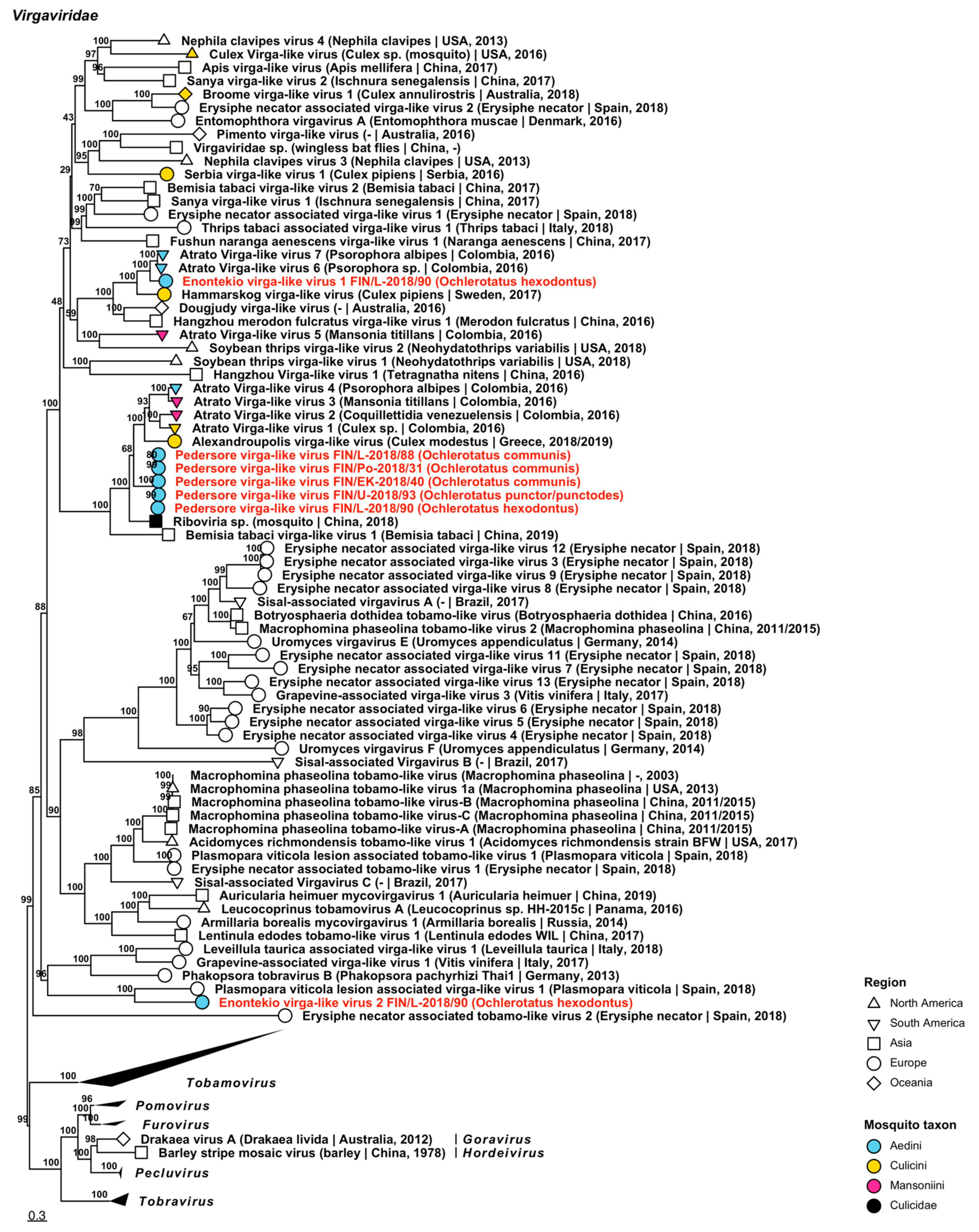 Viruses 14 01489 g009
