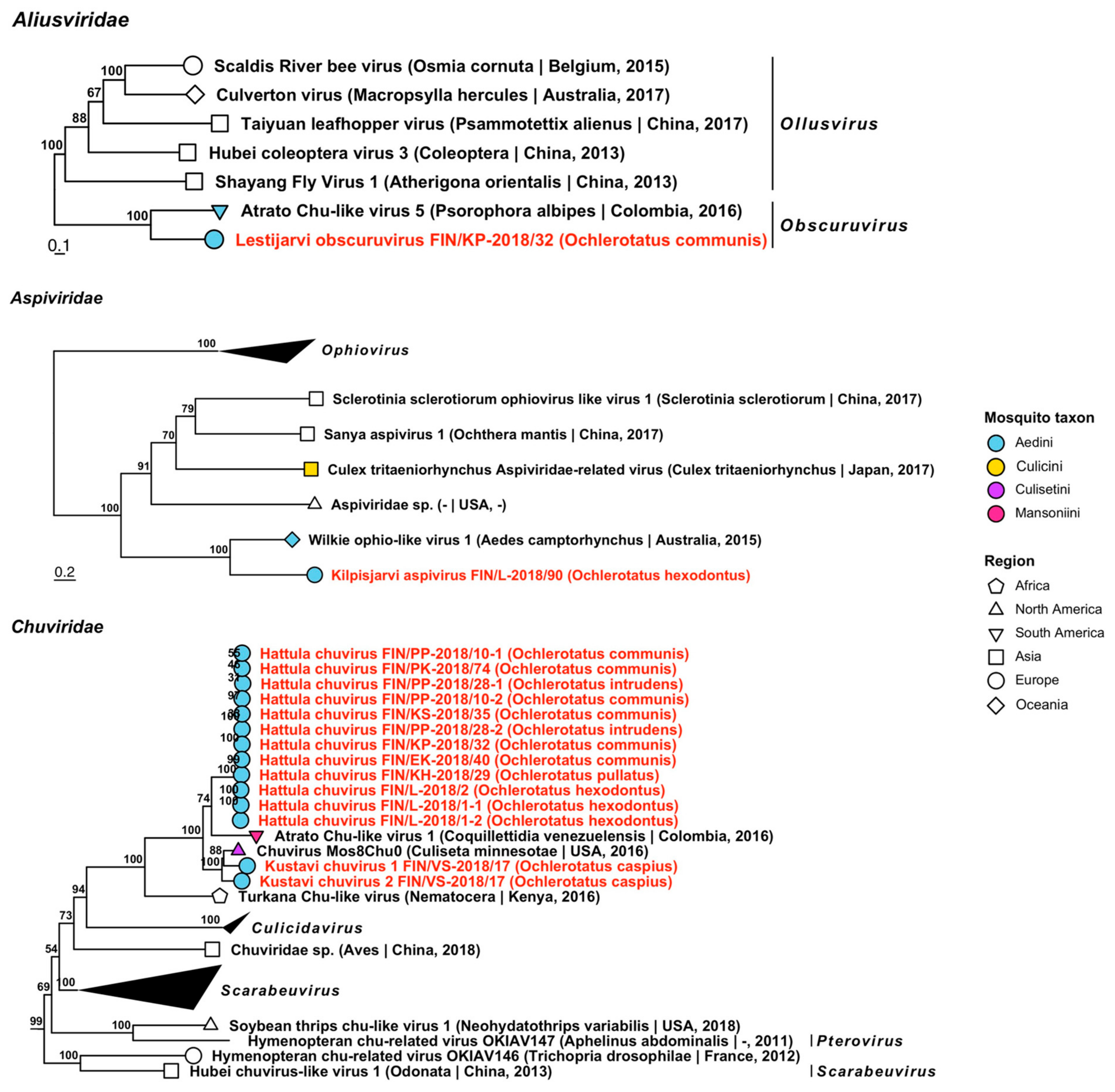 Viruses 14 01489 g010