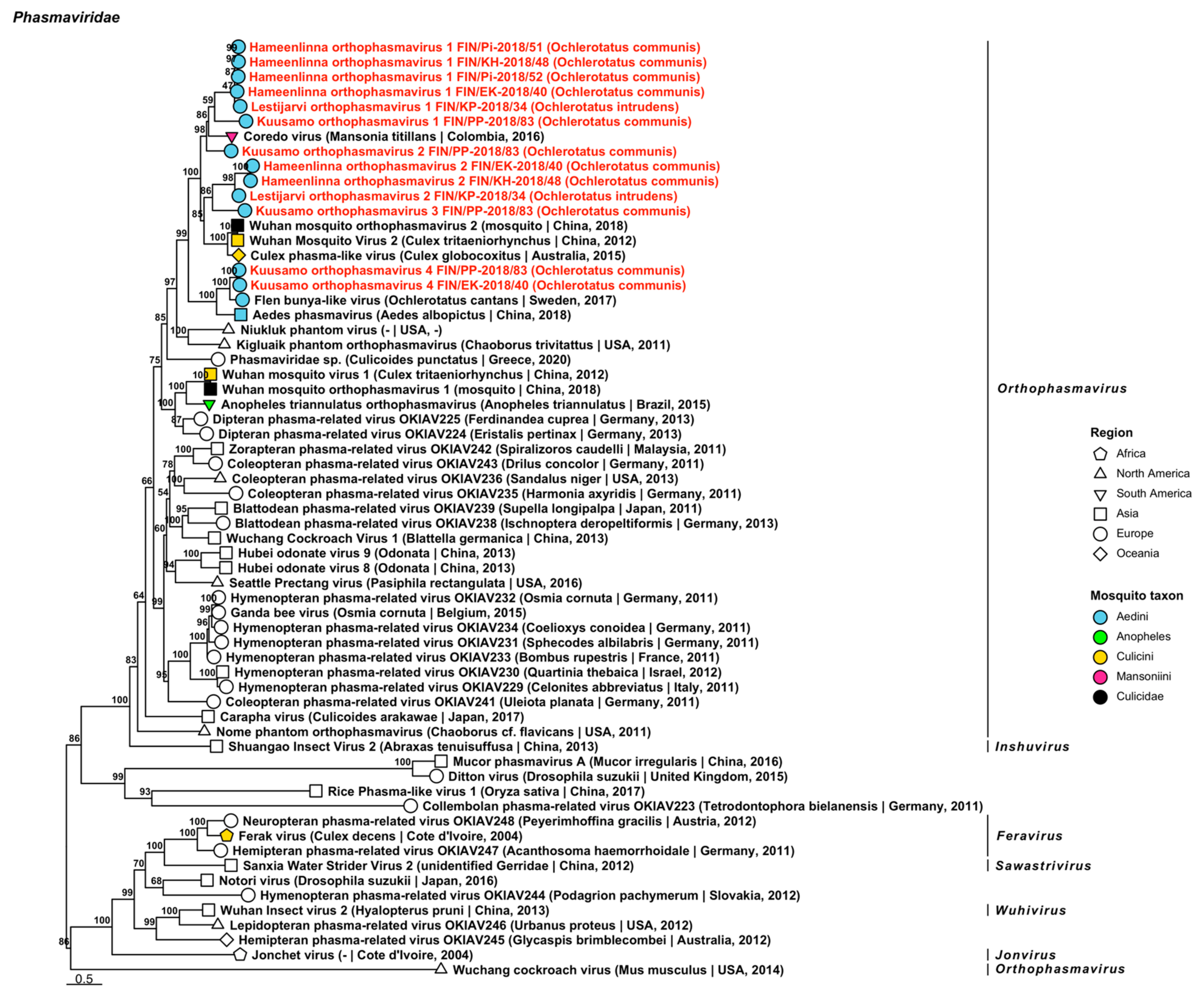 Viruses 14 01489 g011