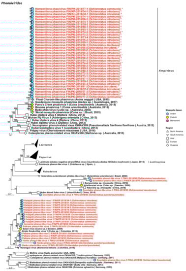 Viruses 14 01489 g012 Viruses 14 01489 g012