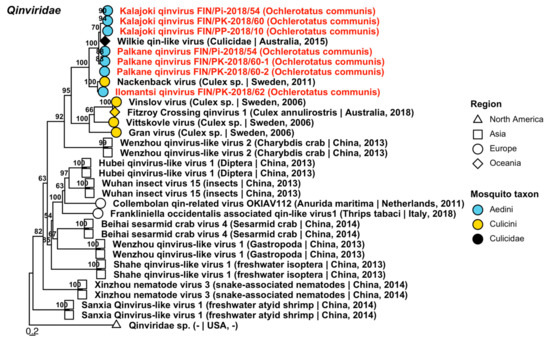 Viruses 14 01489 g013 Viruses 14 01489 g013