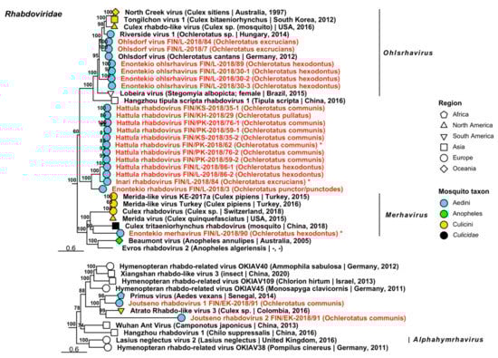 Viruses 14 01489 g014 Viruses 14 01489 g014
