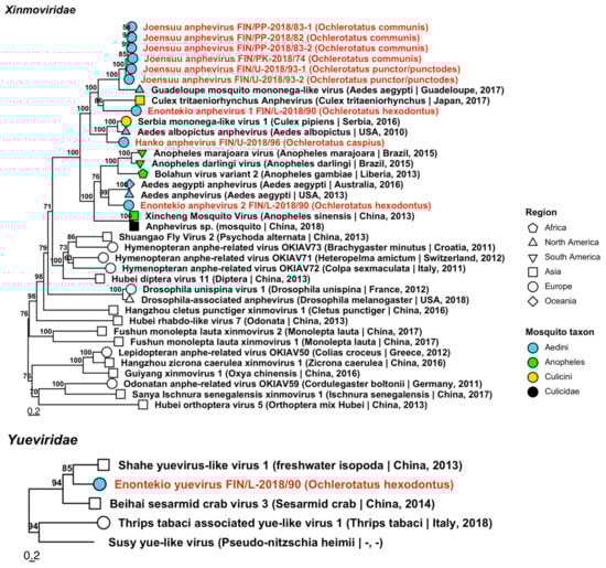 Viruses 14 01489 g015 Viruses 14 01489 g015