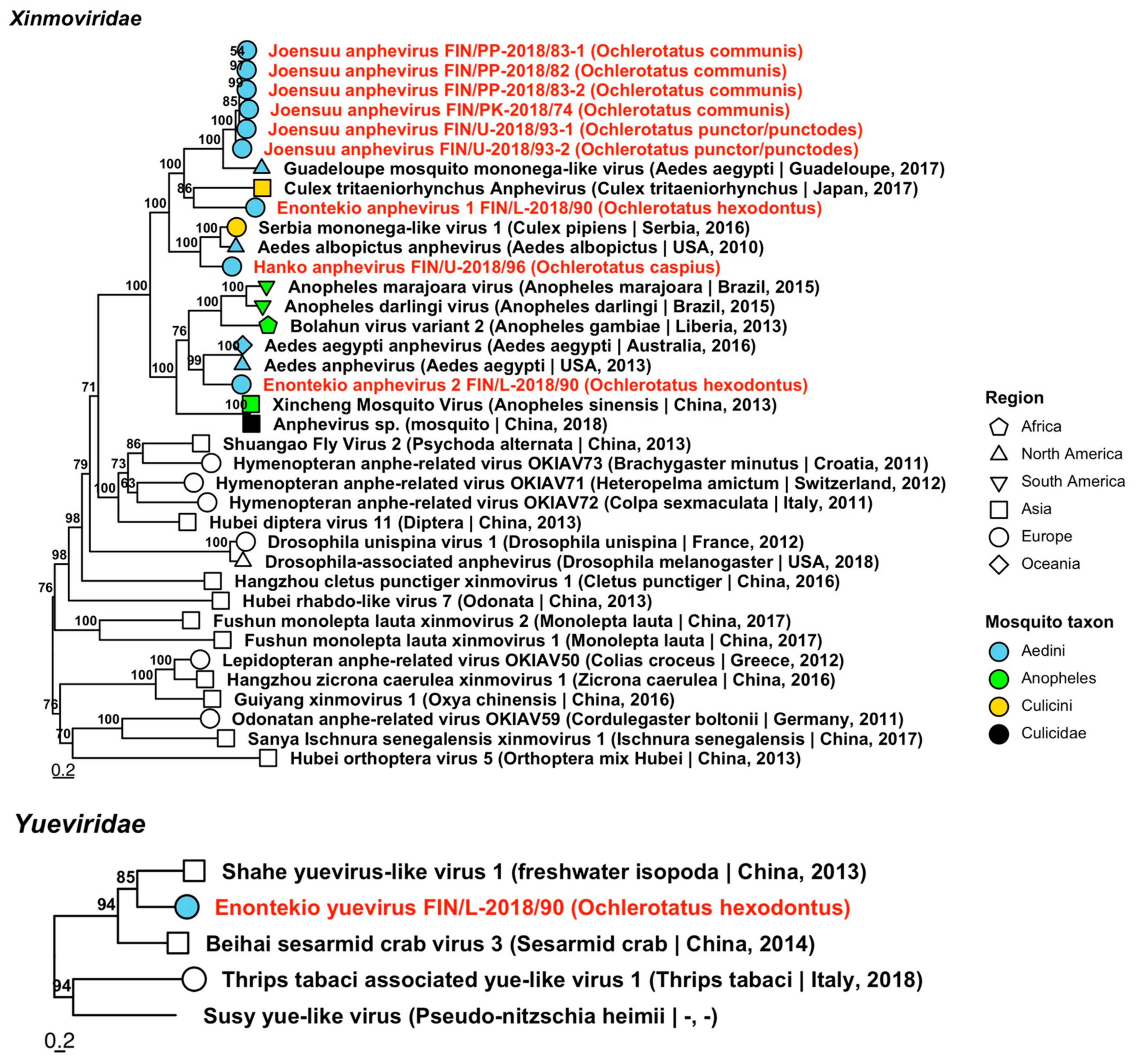 Viruses 14 01489 g015