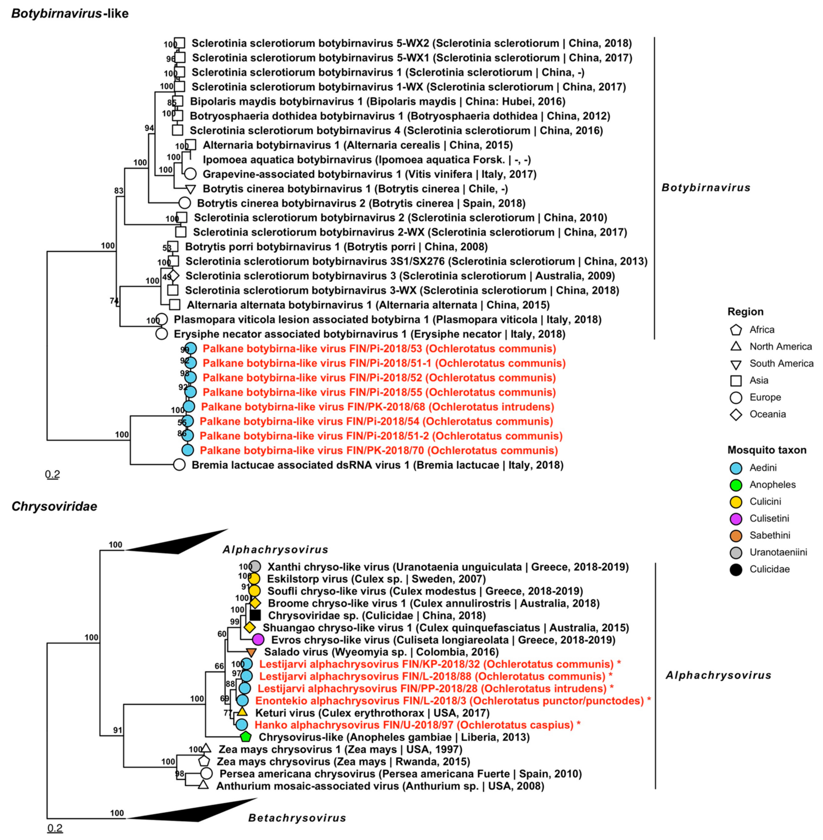 Viruses 14 01489 g016