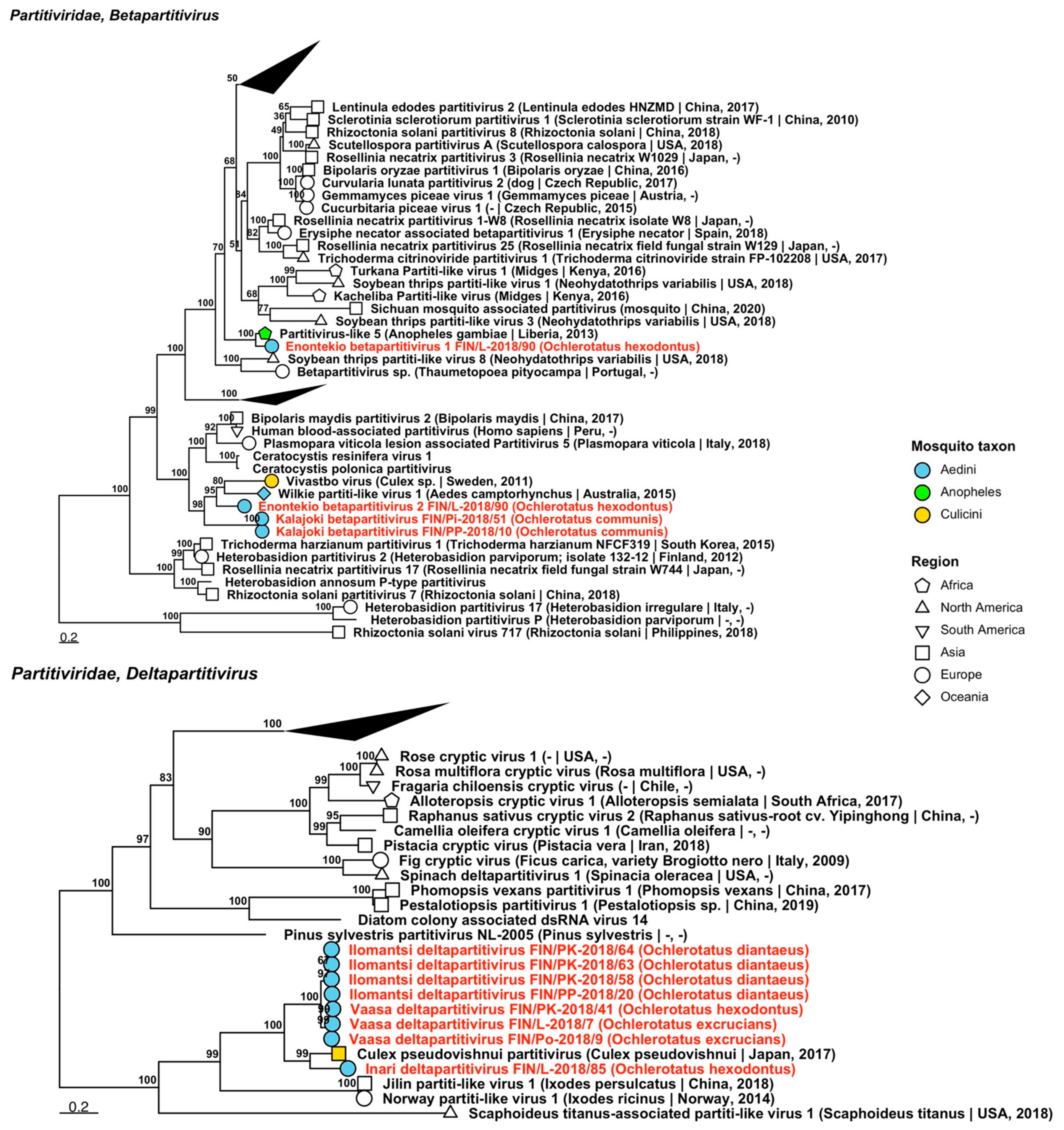 Viruses 14 01489 g018