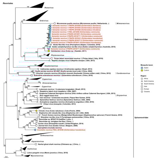 Viruses 14 01489 g020 Viruses 14 01489 g020