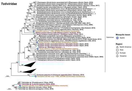 Viruses 14 01489 g022 Viruses 14 01489 g022