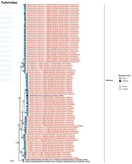Viruses 14 01489 g023 Viruses 14 01489 g023