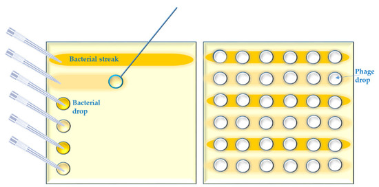 Viruses 14 01490 g0a2