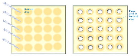 Viruses 14 01490 g0a3