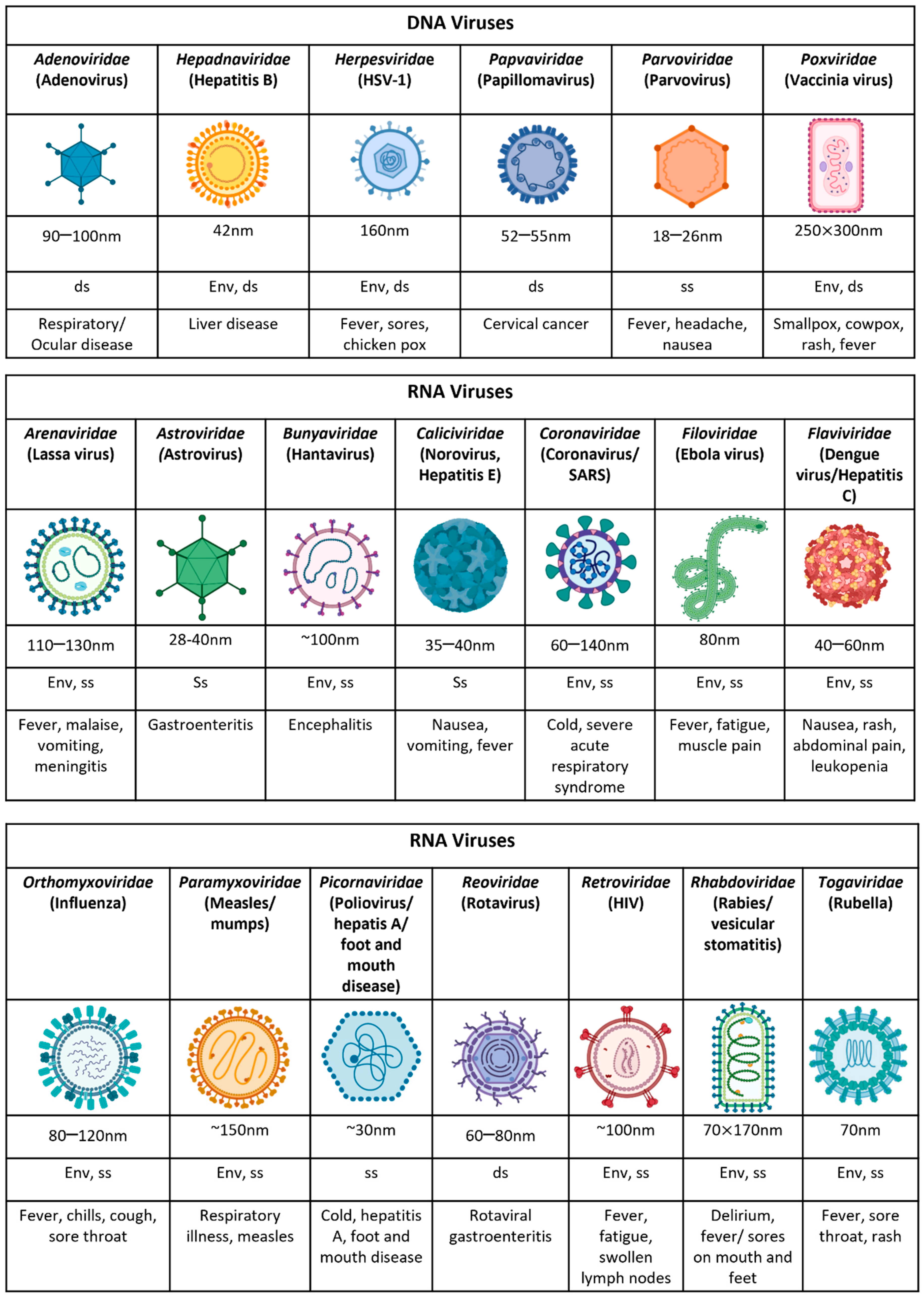 Viruses 14 01493 g001