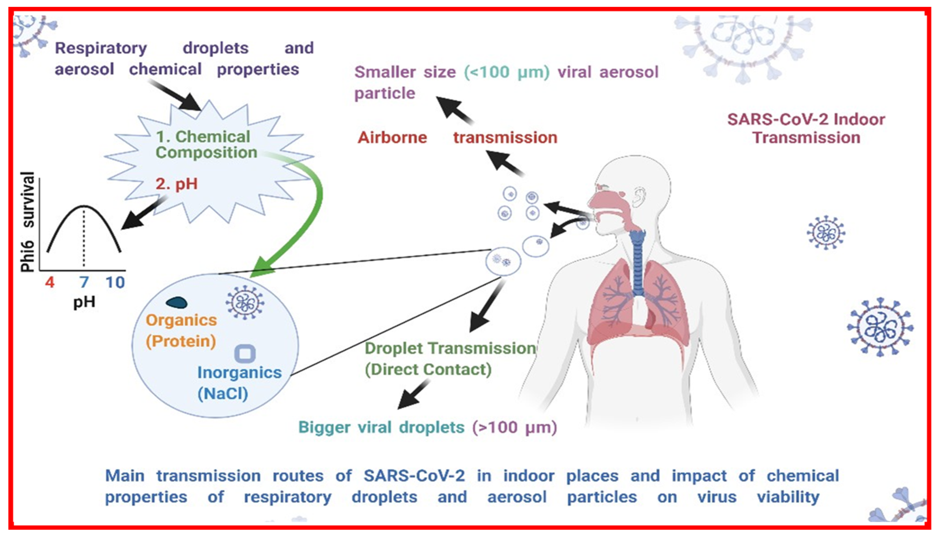Viruses 14 01497 g001