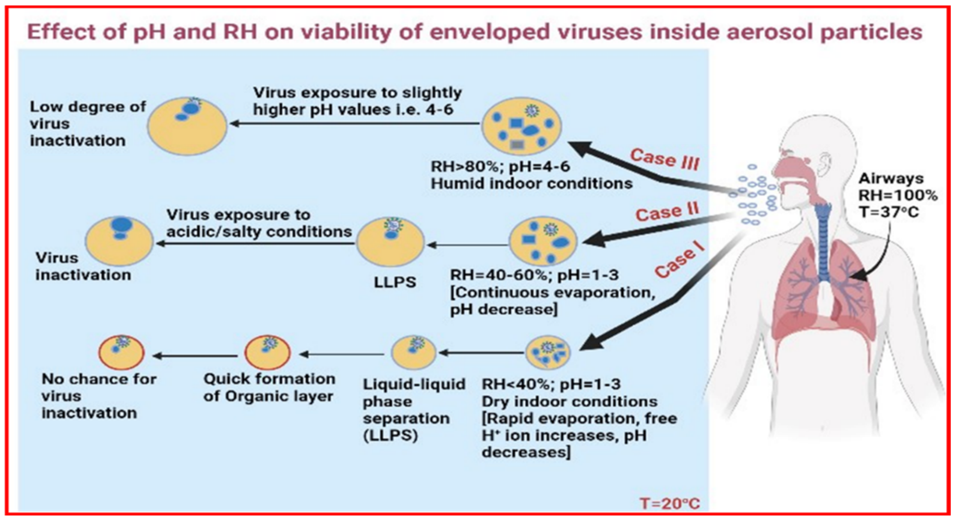 Viruses 14 01497 g002