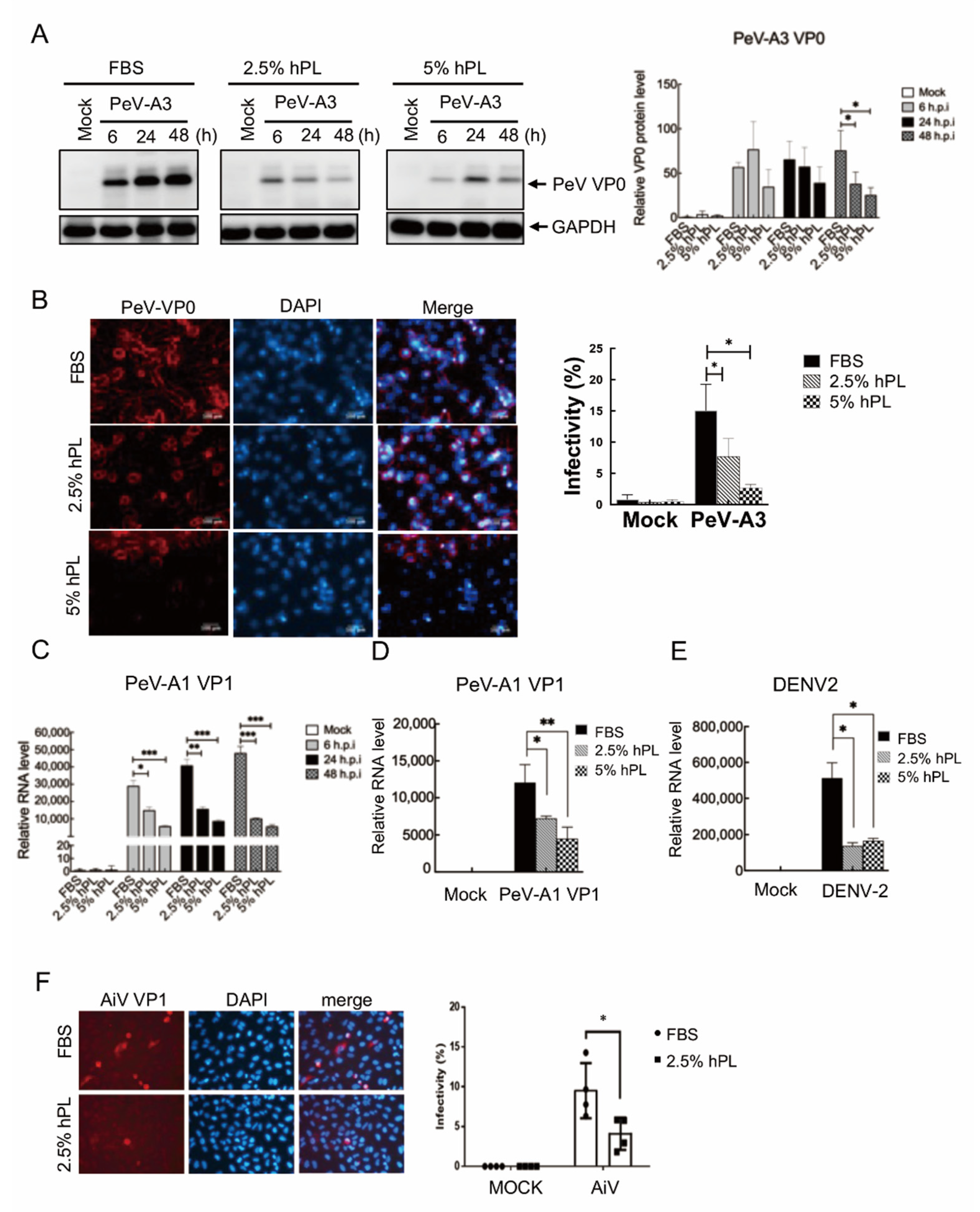Viruses 14 01499 g002