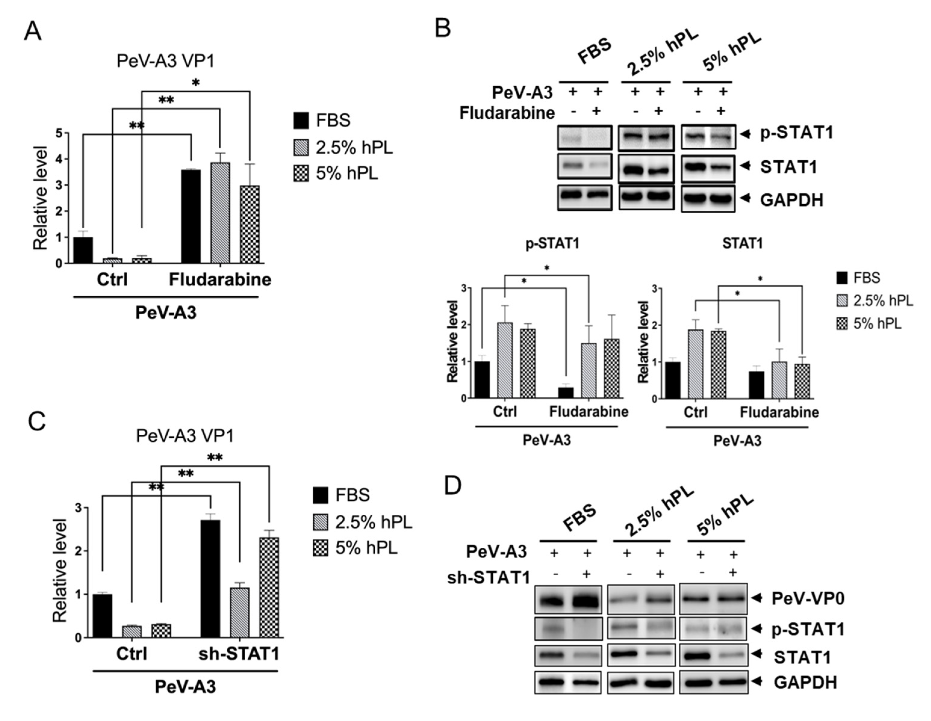 Viruses 14 01499 g006