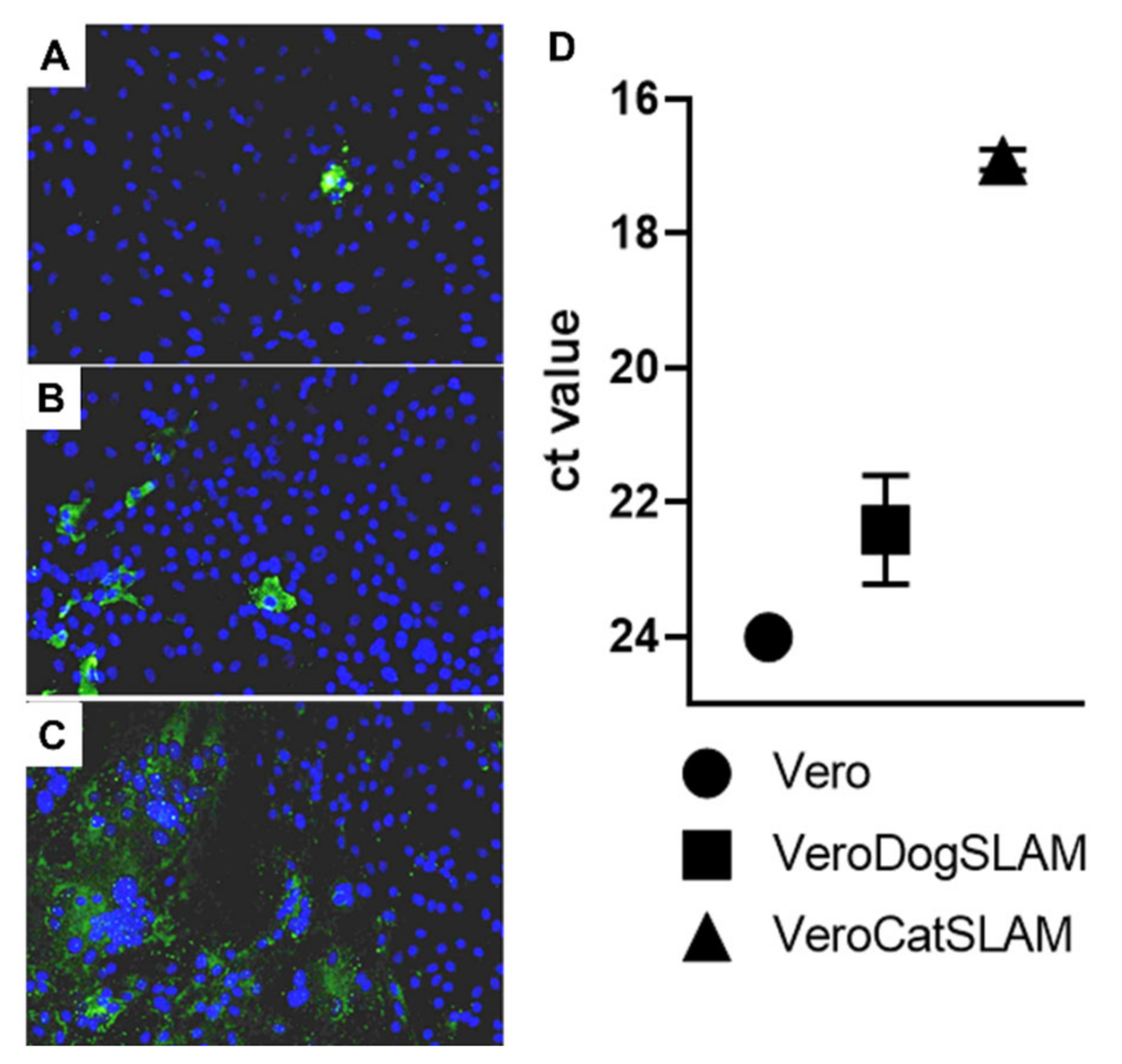 Viruses 14 01503 g002