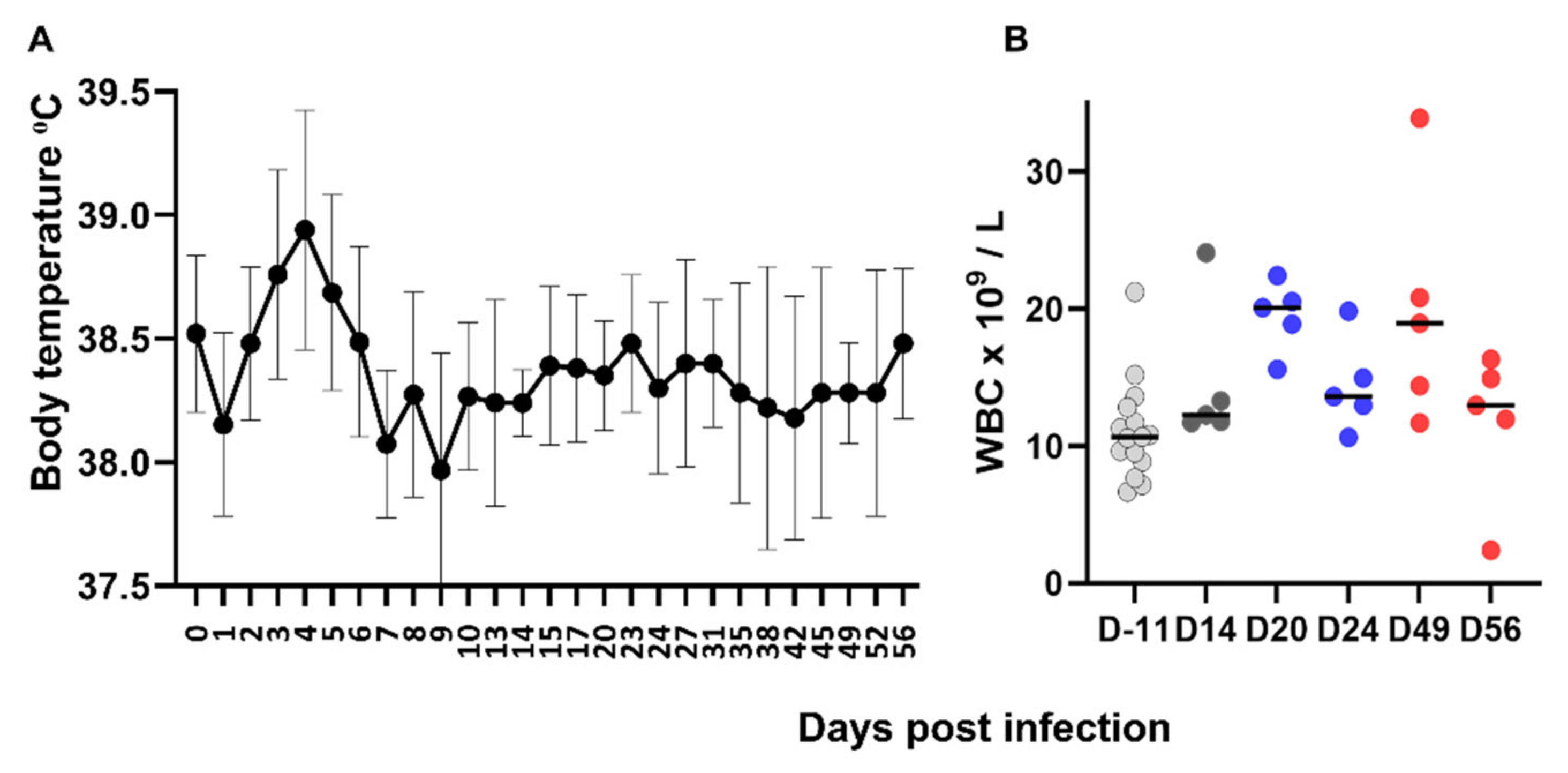 Viruses 14 01503 g003