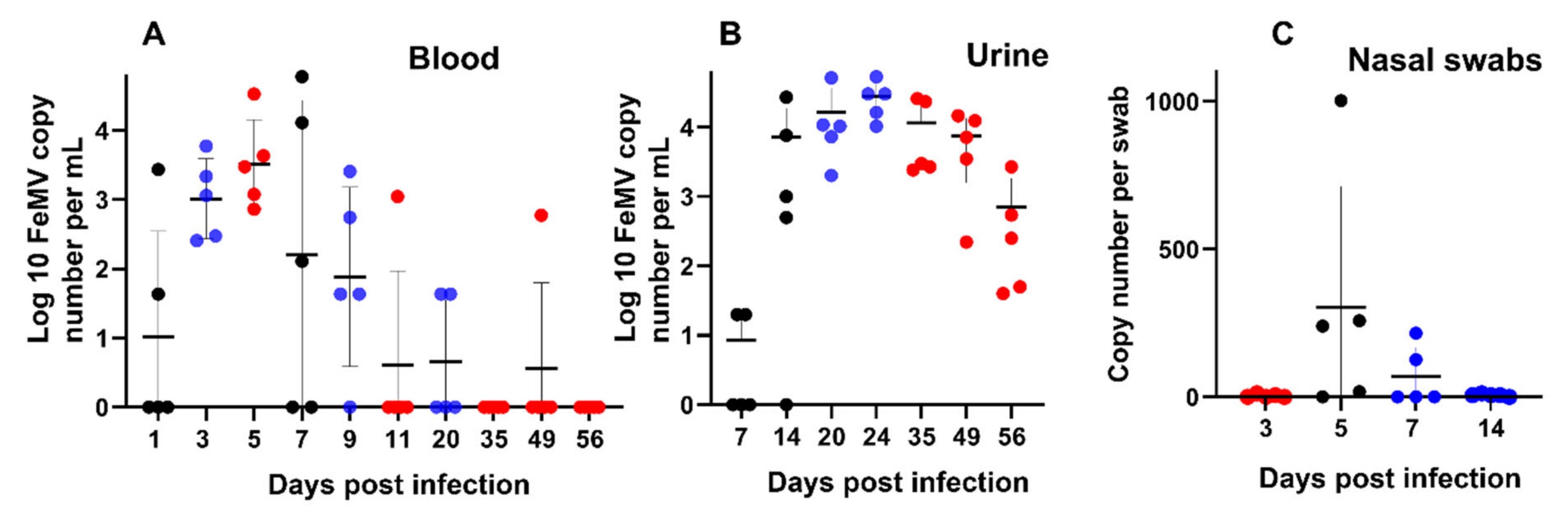 Viruses 14 01503 g004