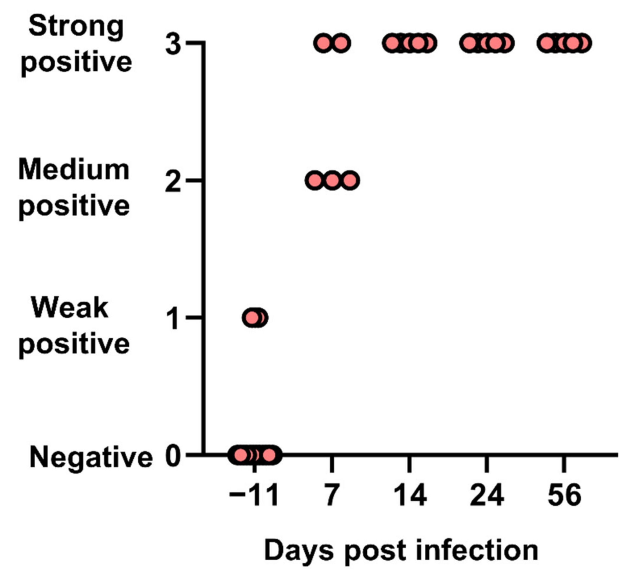 Viruses 14 01503 g005