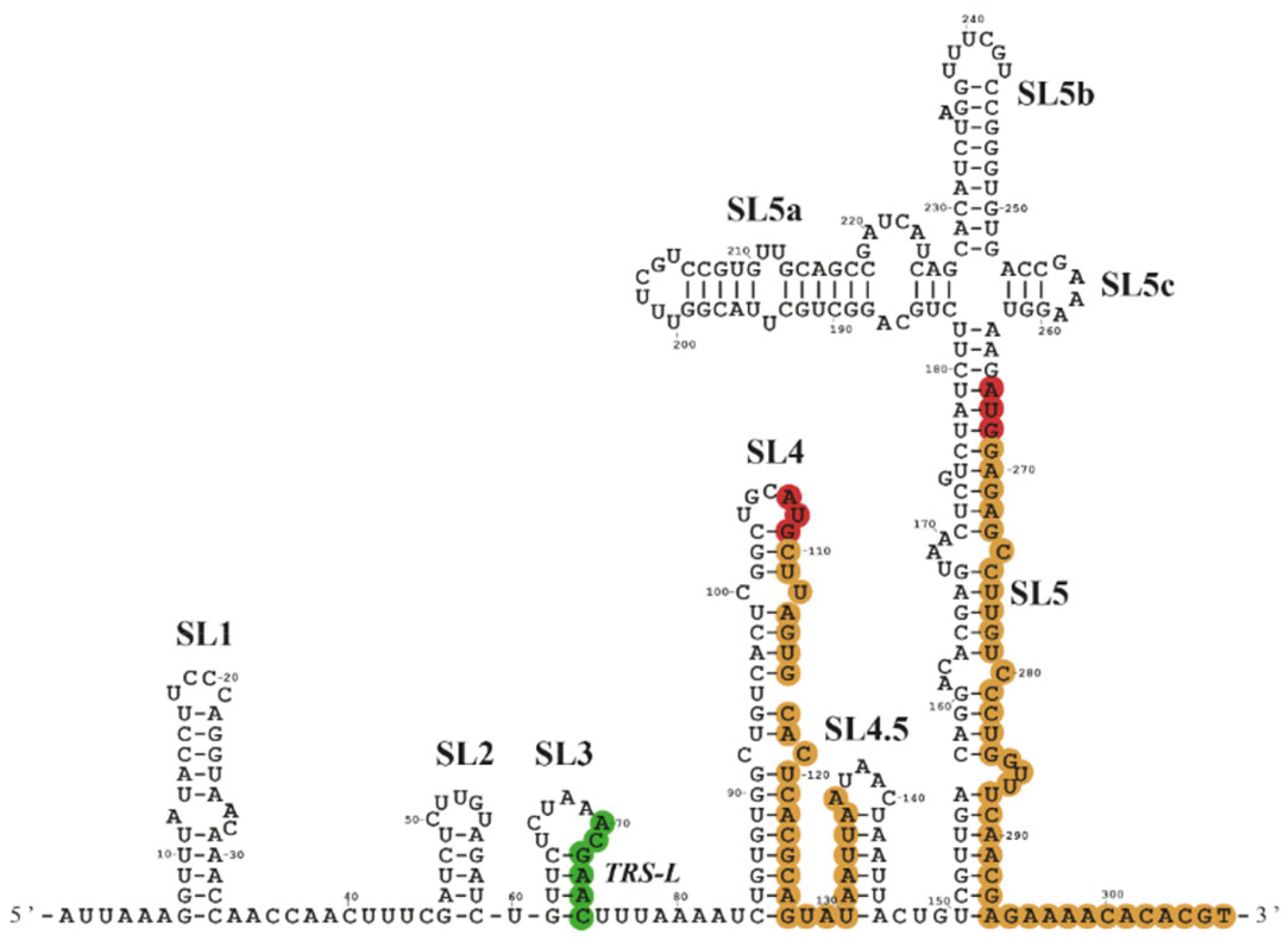 Viruses 14 01505 g002