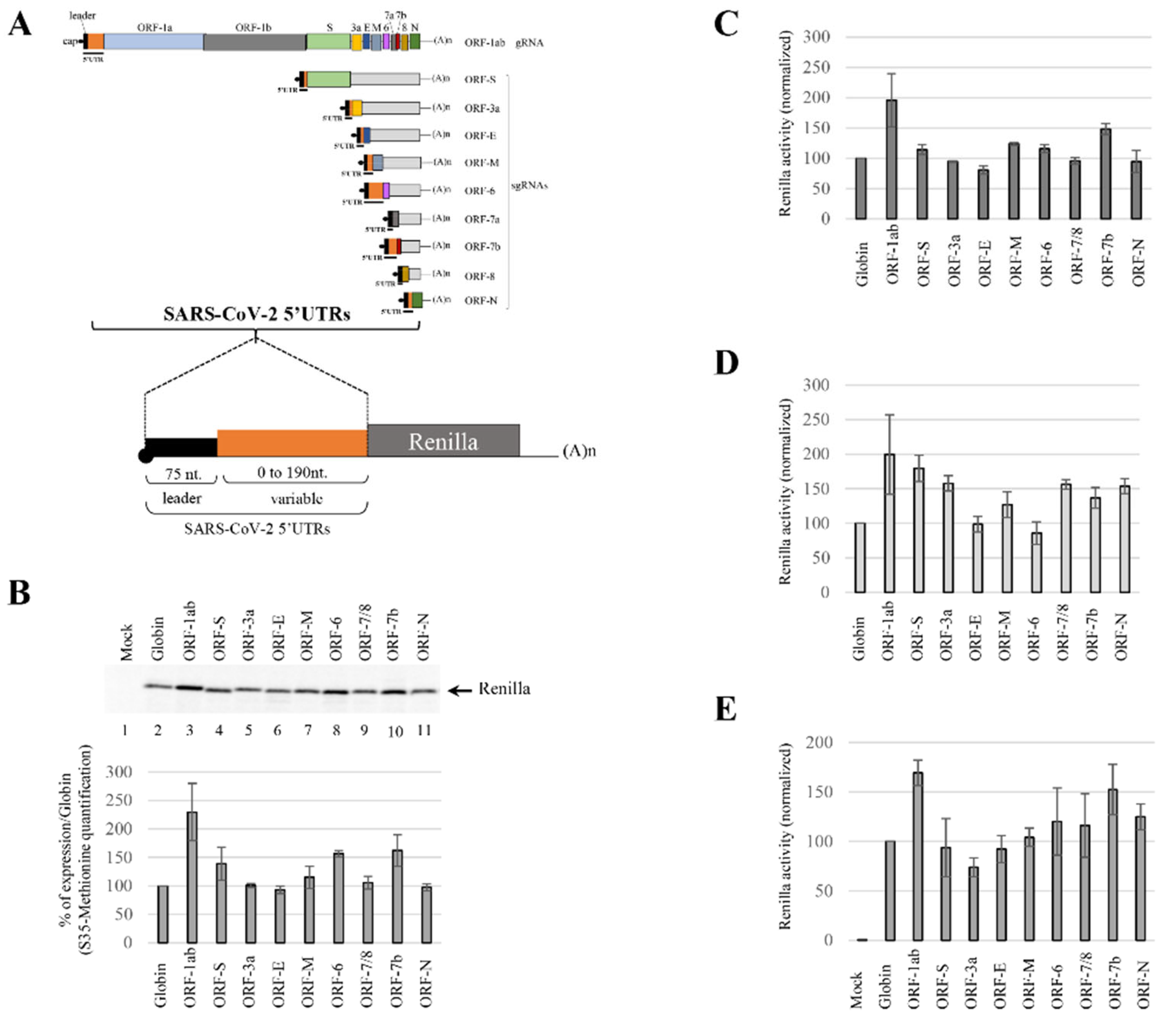Viruses 14 01505 g003