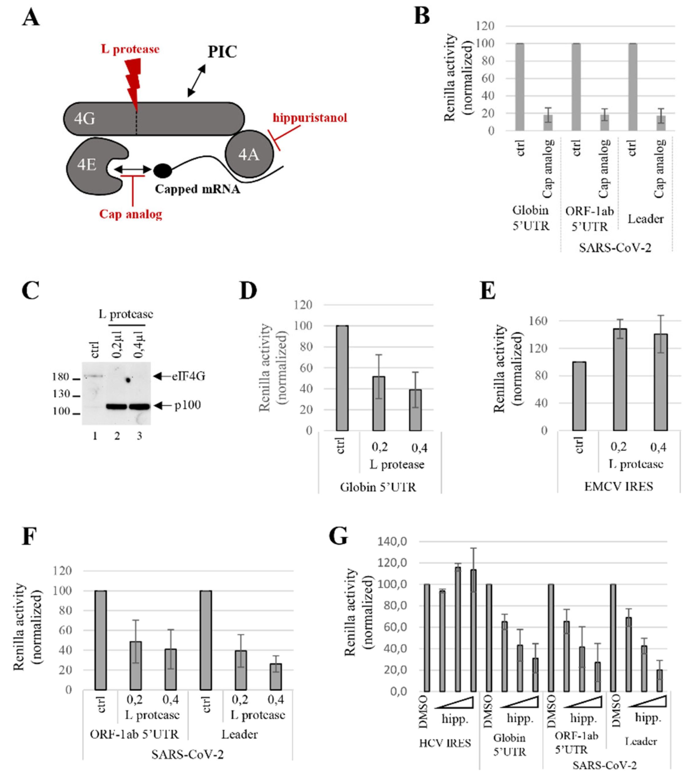 Viruses 14 01505 g006
