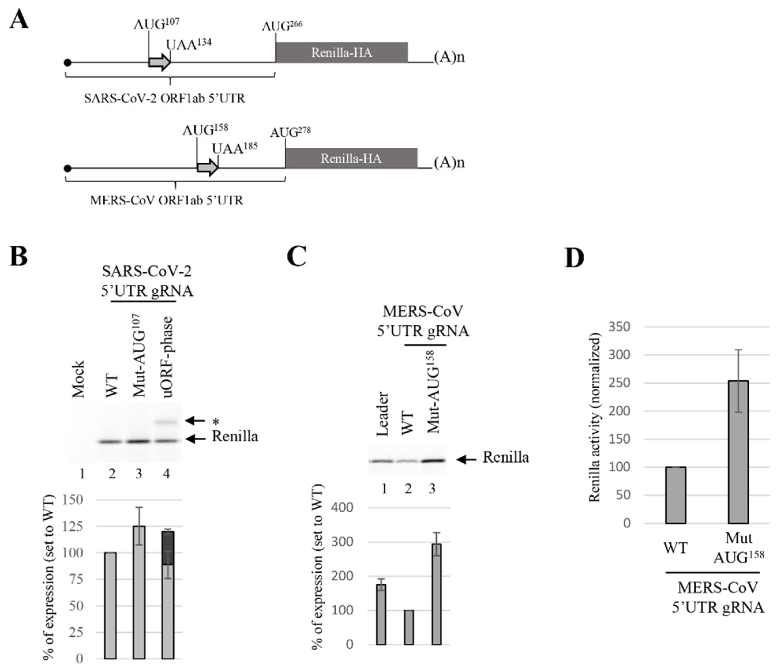 Viruses 14 01505 g007