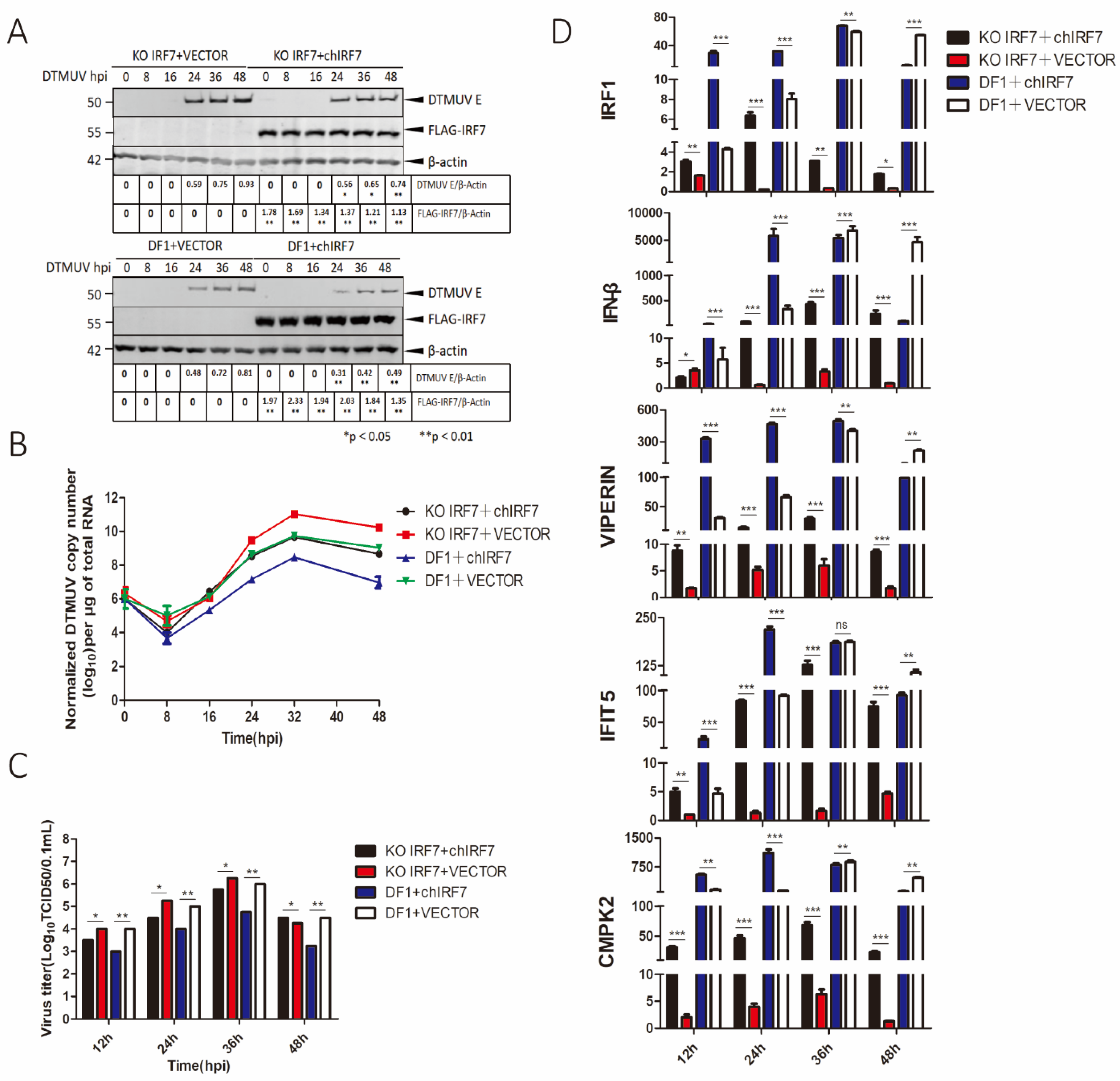 Viruses 14 01506 g002