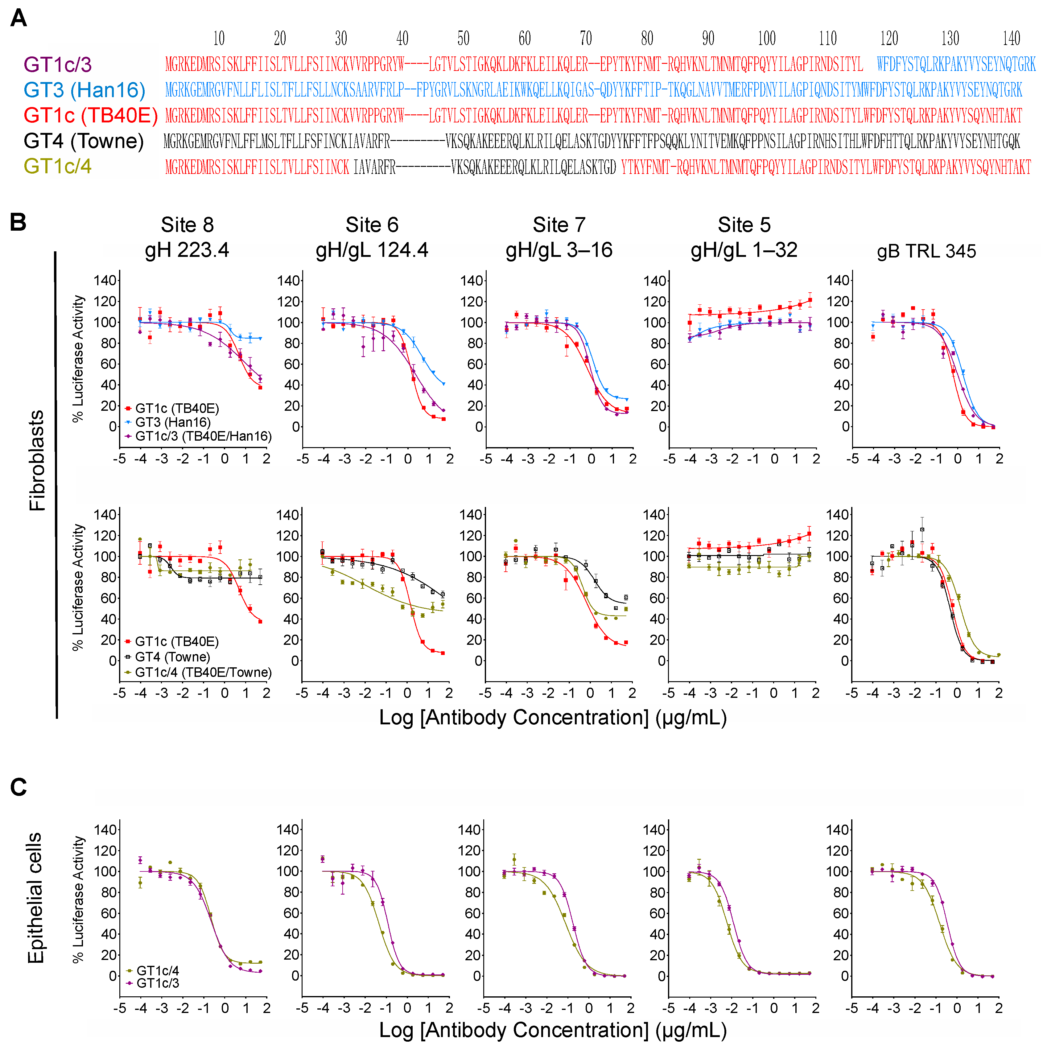 Viruses 14 01508 g006
