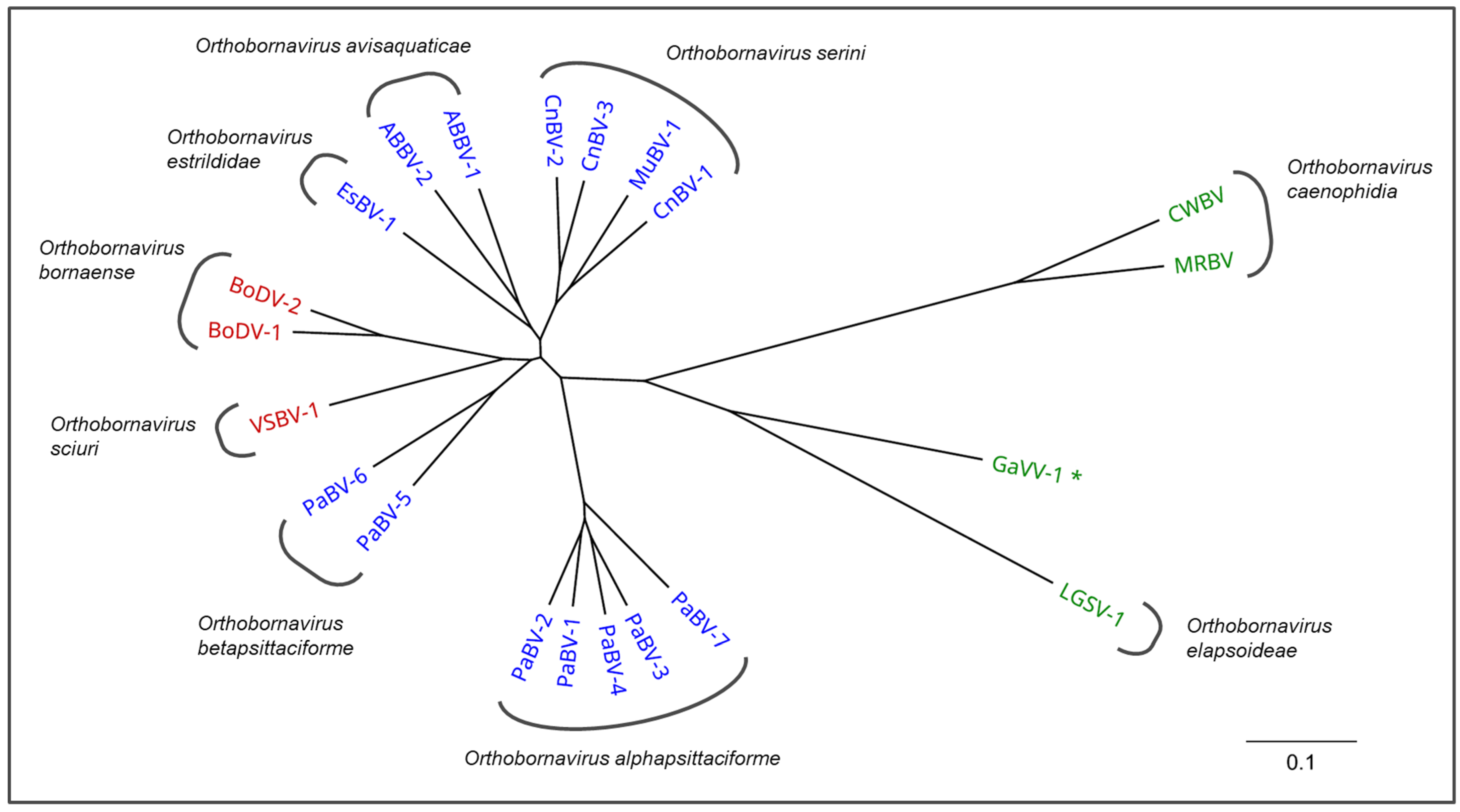 Viruses 14 01513 g001